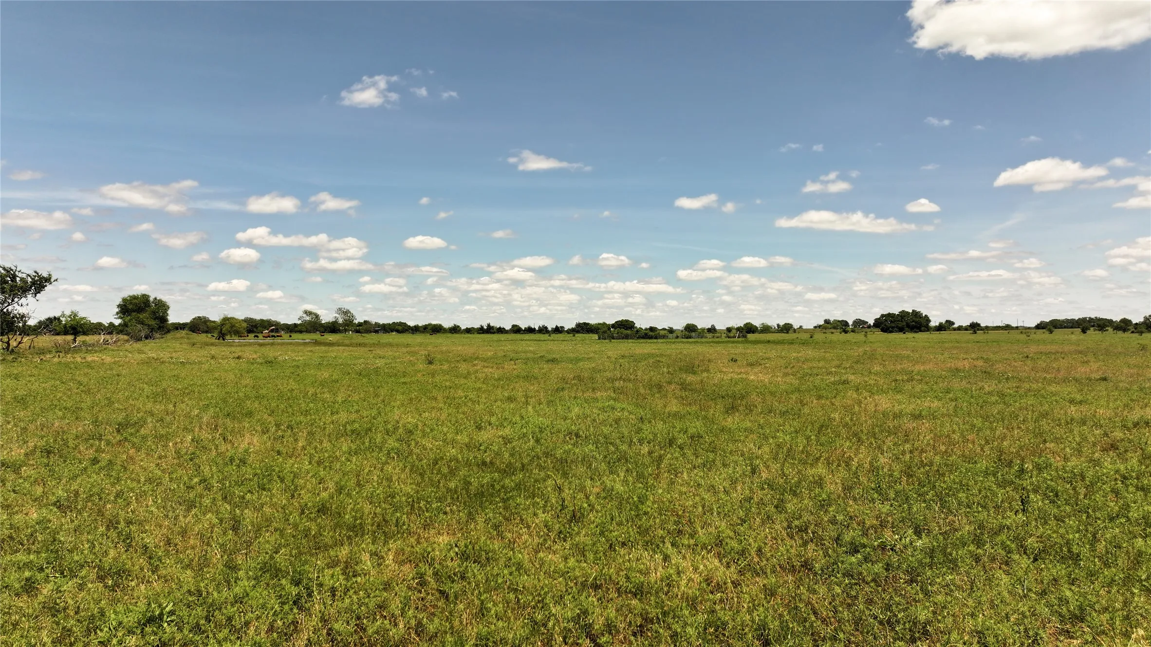 Improved Land For Sale in Montague County , 1409 Flagley Road, Nocona, Texas 76255, 0, 0, Garage spaces, 0 Sqft, built in 1954, Price $619,900, mls#20953911, Real Estate Agent in Nocona, Homes For Sale in Montague county, Homes For Sale in Nocona, Realtor in Nocona Texas, Real Estate Brokerage Independent Realty Texas, Luminita Cordes Realtor