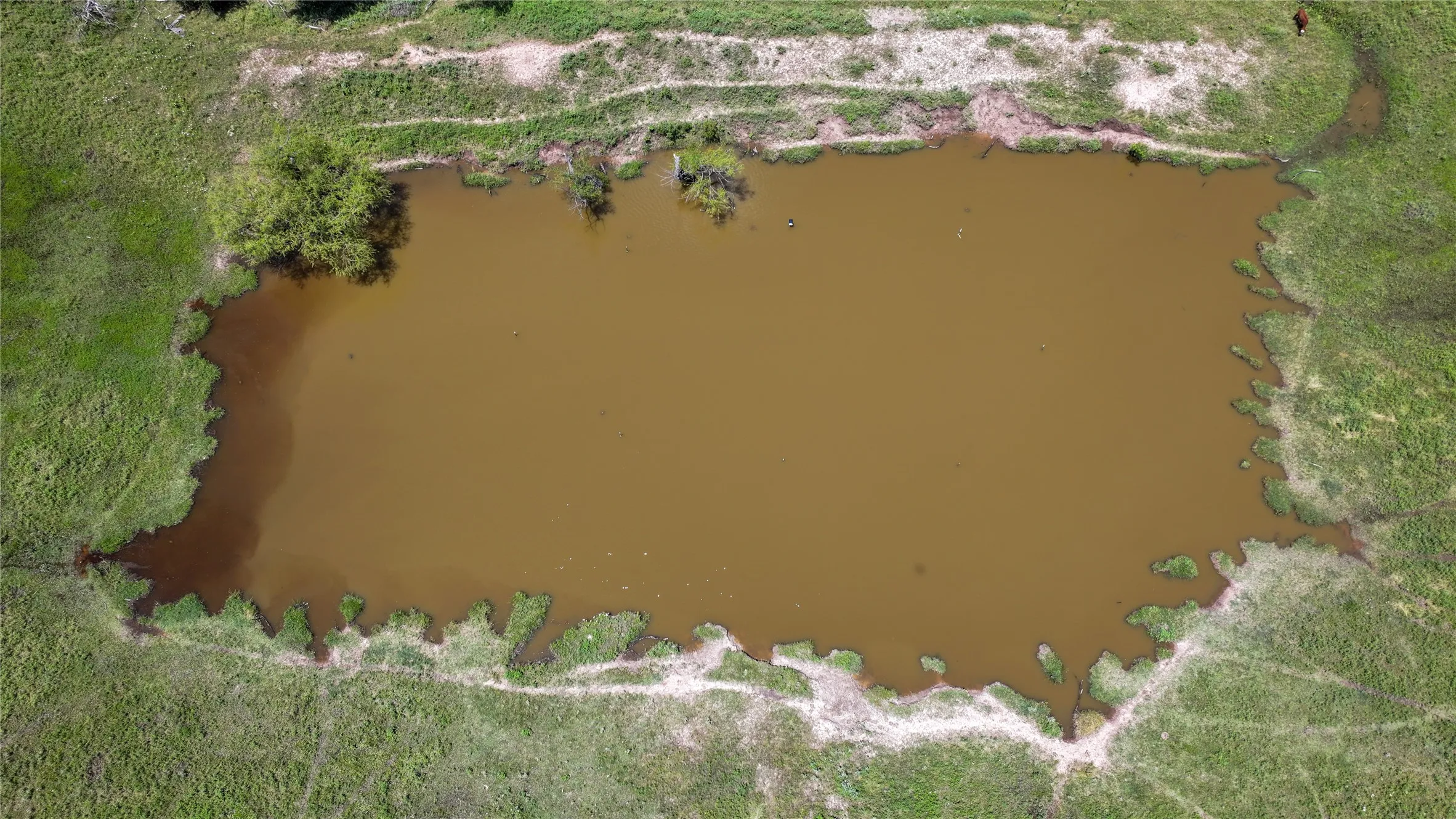 Improved Land For Sale in Montague County , 1409 Flagley Road, Nocona, Texas 76255, 0, 0, Garage spaces, 0 Sqft, built in 1954, Price $619,900, mls#20953911, Real Estate Agent in Nocona, Homes For Sale in Montague county, Homes For Sale in Nocona, Realtor in Nocona Texas, Real Estate Brokerage Independent Realty Texas, Luminita Cordes Realtor