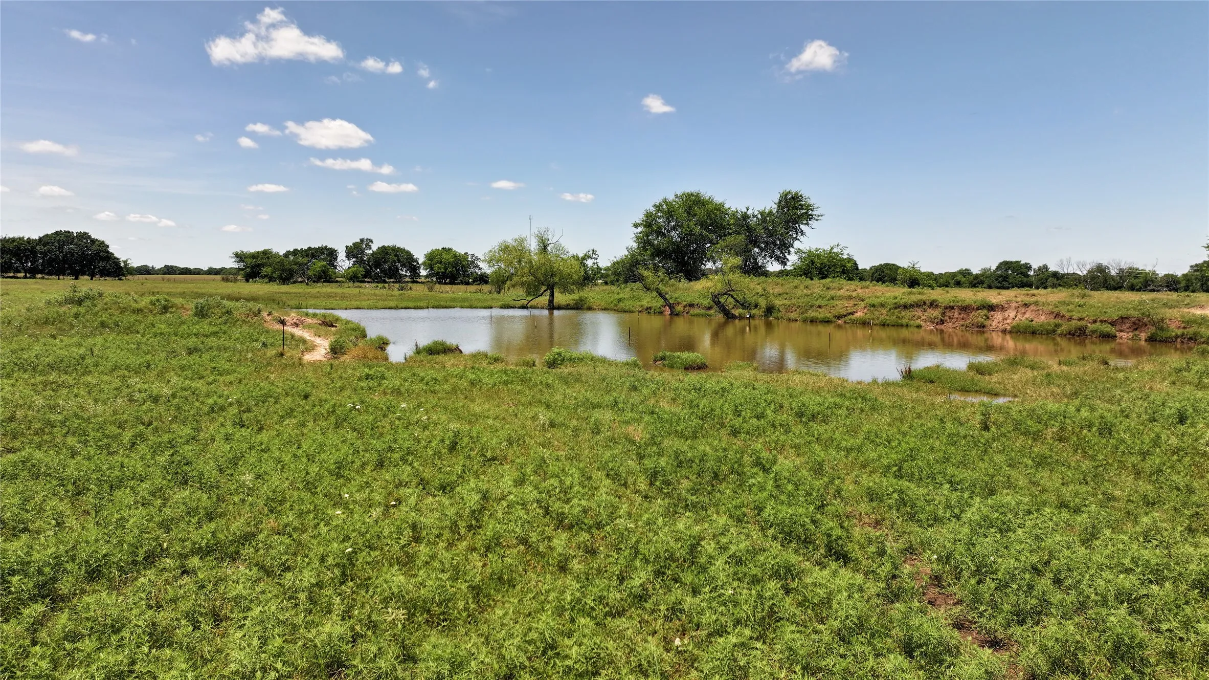 Improved Land For Sale in Montague County , 1409 Flagley Road, Nocona, Texas 76255, 0, 0, Garage spaces, 0 Sqft, built in 1954, Price $619,900, mls#20953911, Real Estate Agent in Nocona, Homes For Sale in Montague county, Homes For Sale in Nocona, Realtor in Nocona Texas, Real Estate Brokerage Independent Realty Texas, Luminita Cordes Realtor