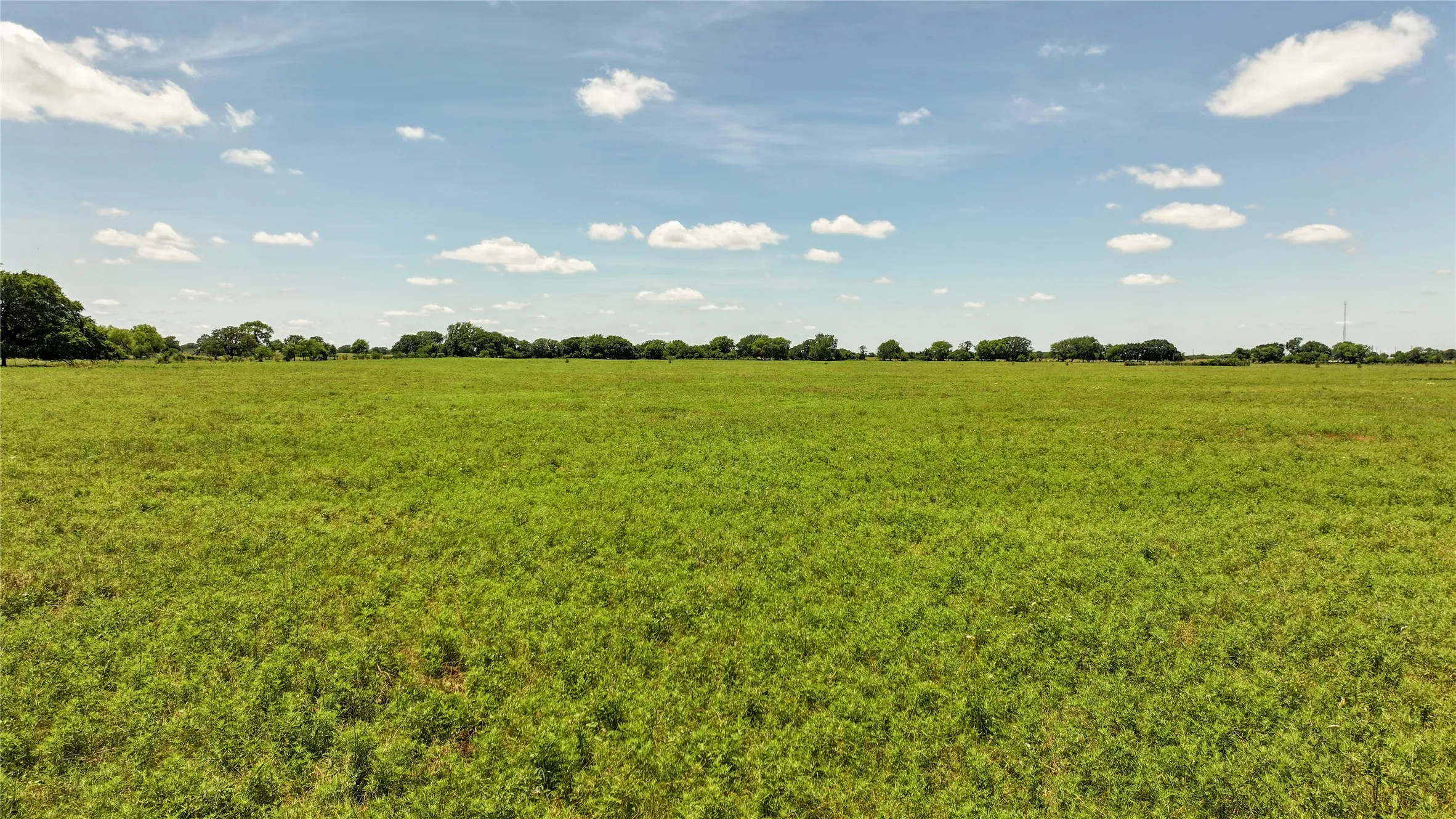 Improved Land For Sale in Montague County , 1409 Flagley Road, Nocona, Texas 76255, 0, 0, Garage spaces, 0 Sqft, built in 1954, Price $619,900, mls#20953911, Real Estate Agent in Nocona, Homes For Sale in Montague county, Homes For Sale in Nocona, Realtor in Nocona Texas, Real Estate Brokerage Independent Realty Texas, Luminita Cordes Realtor