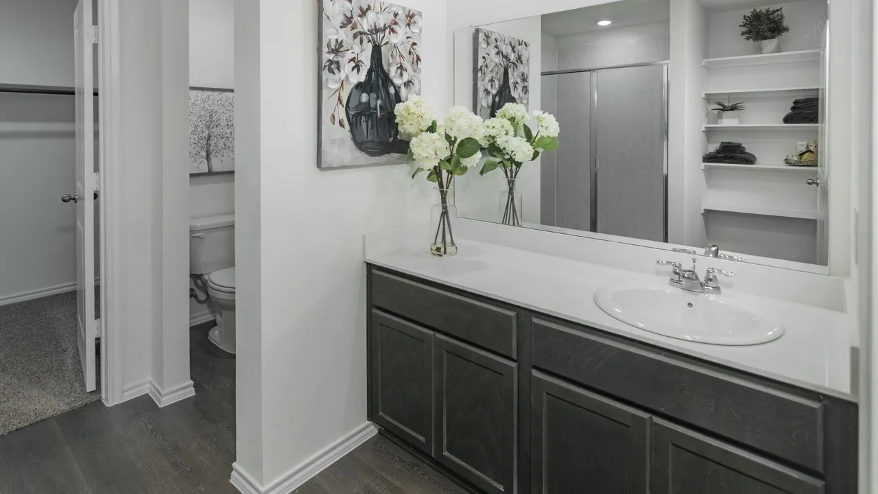 Bathroom with a walk in closet, a shower stall, vanity, and dark wood-style flooring
