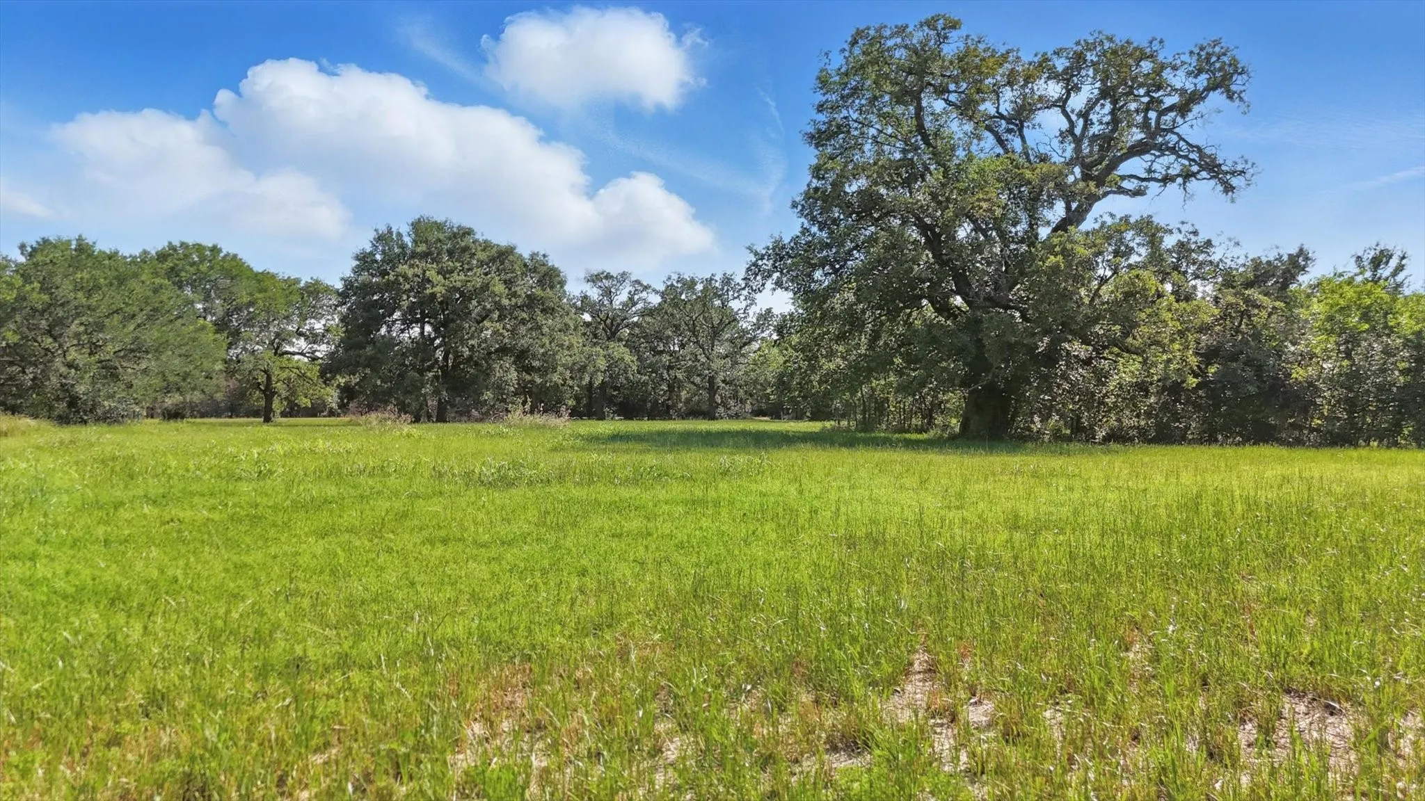 Unimproved Land For Sale in Denton County , 126 W Shady Shores Road, Shady Shores, Texas 76210, 0, 0, Garage spaces, 0 Sqft, built in 0, mls#20954890, Real Estate Agent in Shady Shores, Homes For Sale in Denton county, Homes For Sale in Shady Shores, Realtor in Shady Shores Texas, Real Estate Brokerage Independent Realty Texas, Luminita Cordes Realtor
