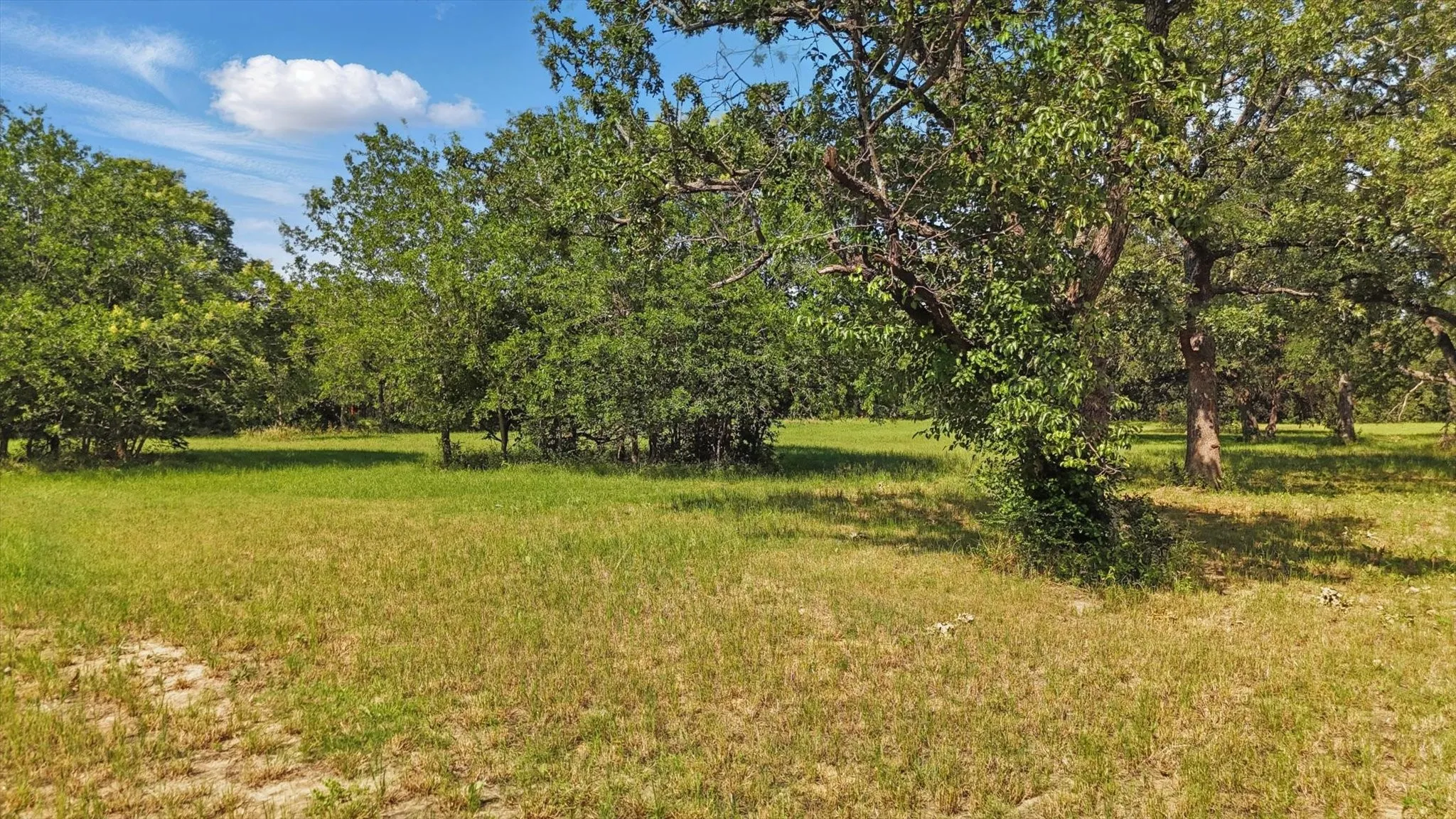 Unimproved Land For Sale in Denton County , 200 W Shady Shores Road, Shady Shores, Texas 76210, 0, 0, Garage spaces, 0 Sqft, built in 0, mls#20954931, Real Estate Agent in Shady Shores, Homes For Sale in Denton county, Homes For Sale in Shady Shores, Realtor in Shady Shores Texas, Real Estate Brokerage Independent Realty Texas, Luminita Cordes Realtor
