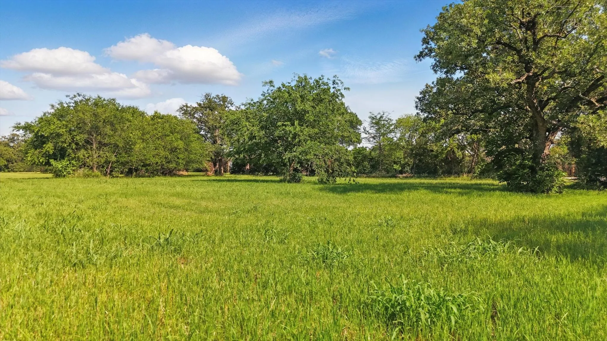 Unimproved Land For Sale in Denton County , 200 W Shady Shores Road, Shady Shores, Texas 76210, 0, 0, Garage spaces, 0 Sqft, built in 0, mls#20954931, Real Estate Agent in Shady Shores, Homes For Sale in Denton county, Homes For Sale in Shady Shores, Realtor in Shady Shores Texas, Real Estate Brokerage Independent Realty Texas, Luminita Cordes Realtor