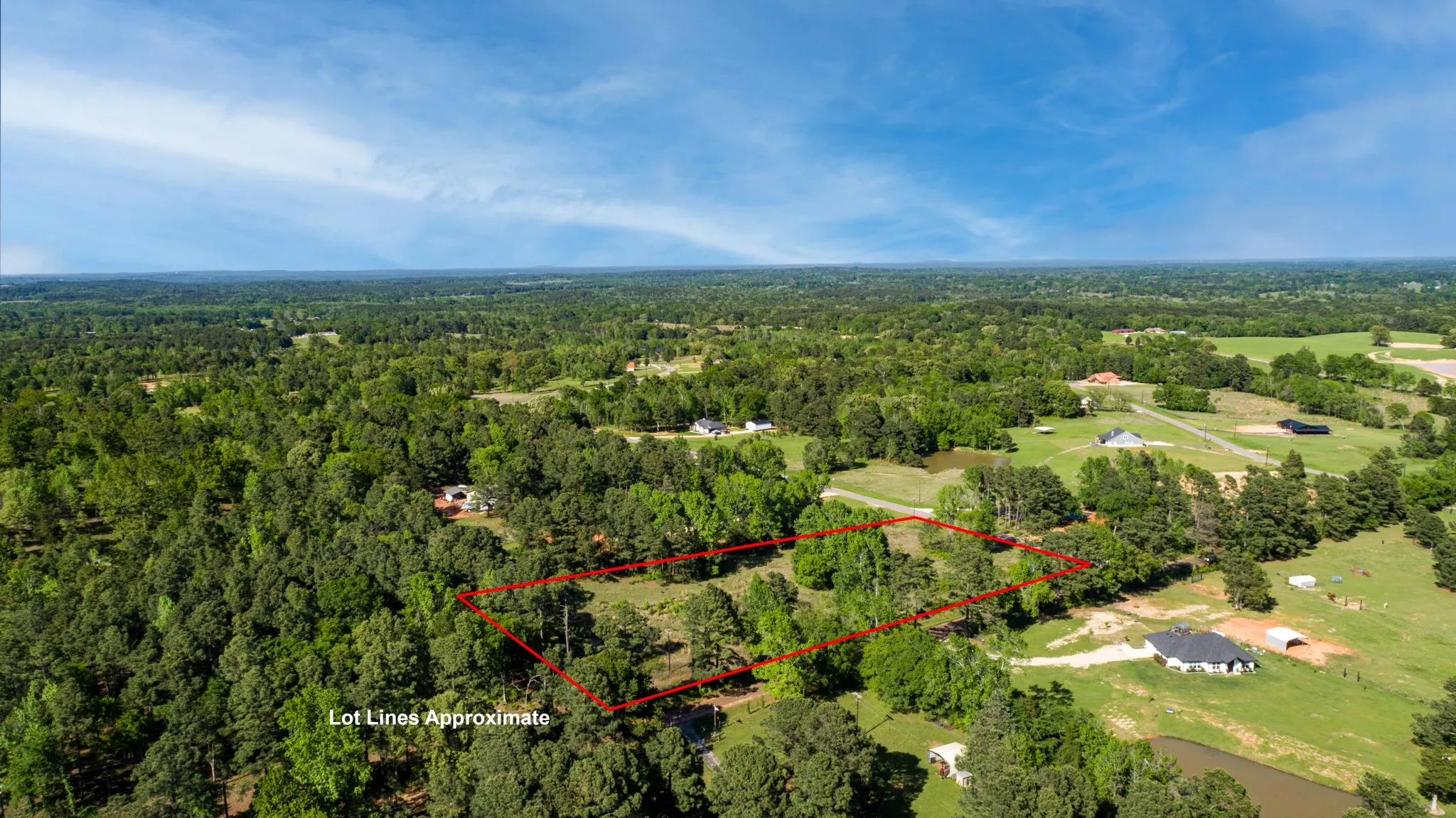 Drone / aerial view featuring a view of trees