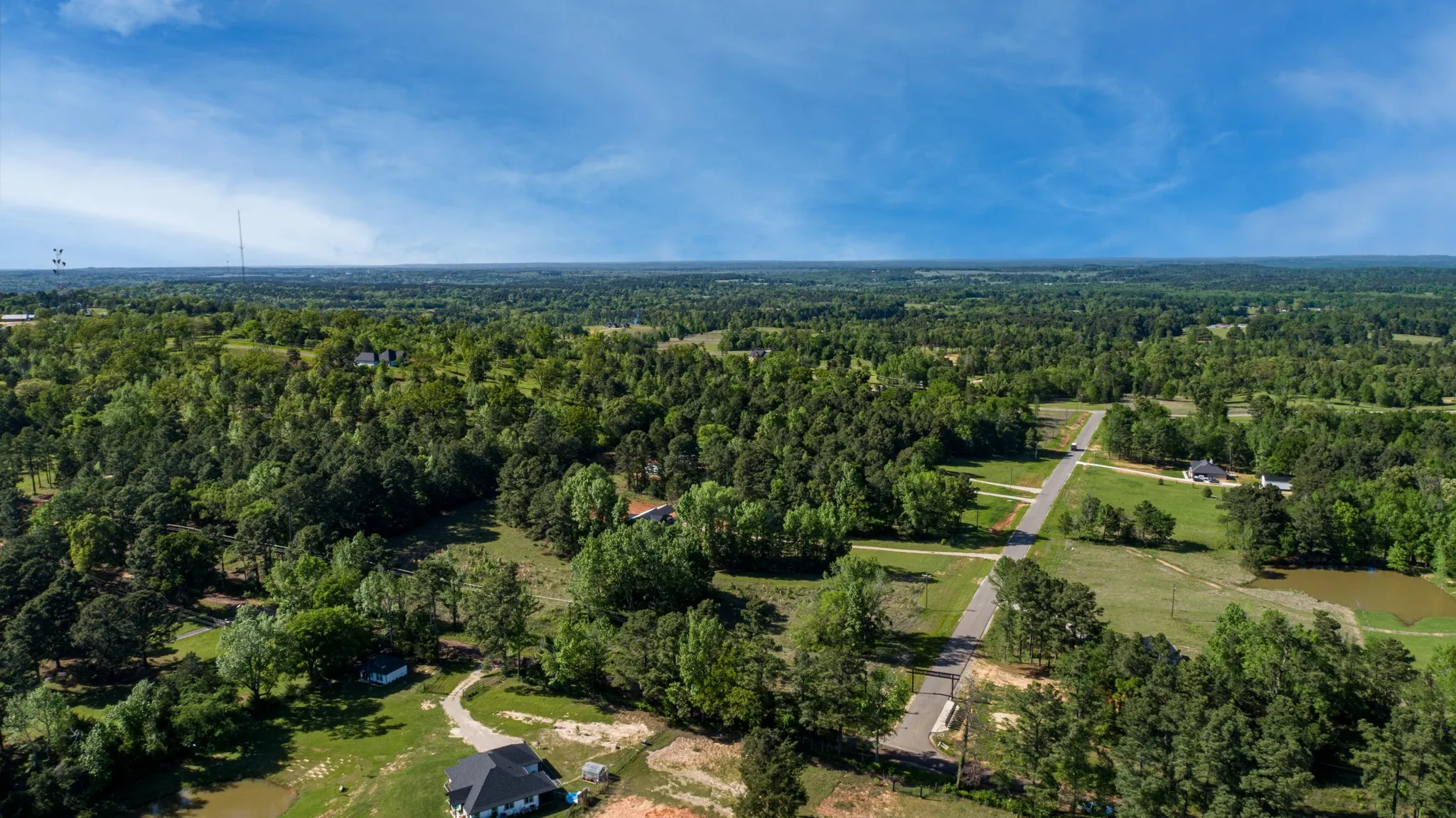 Drone / aerial view featuring a forest view
