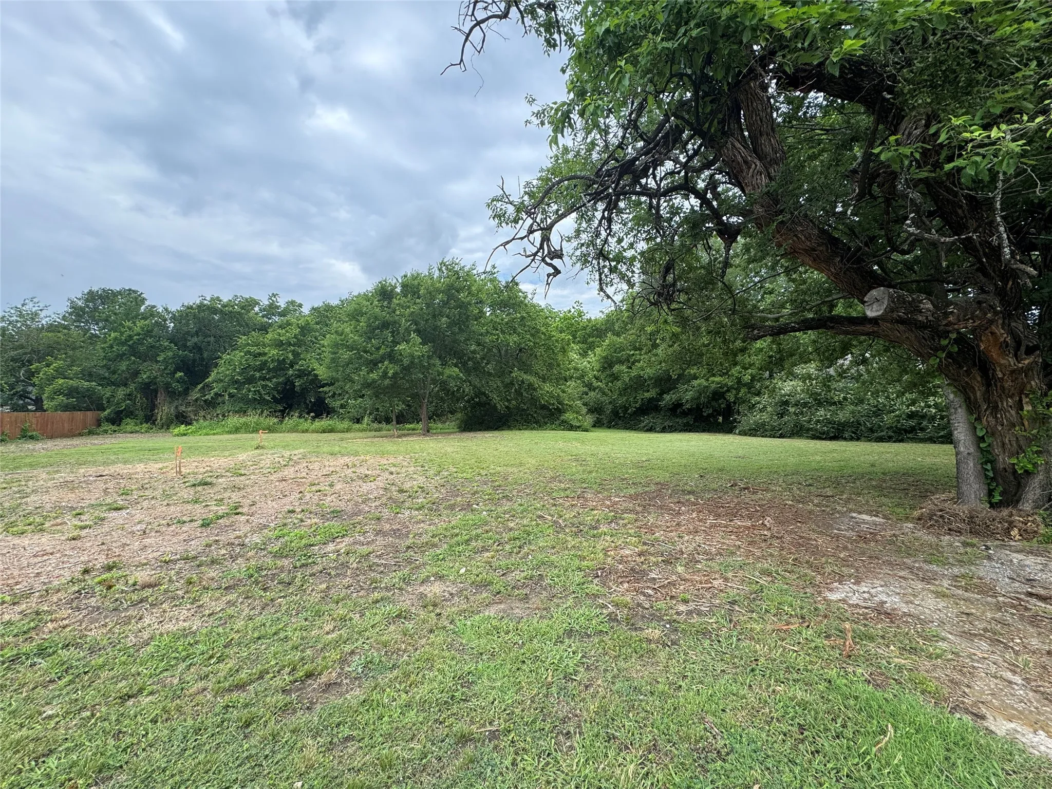 View of yard with a view of trees