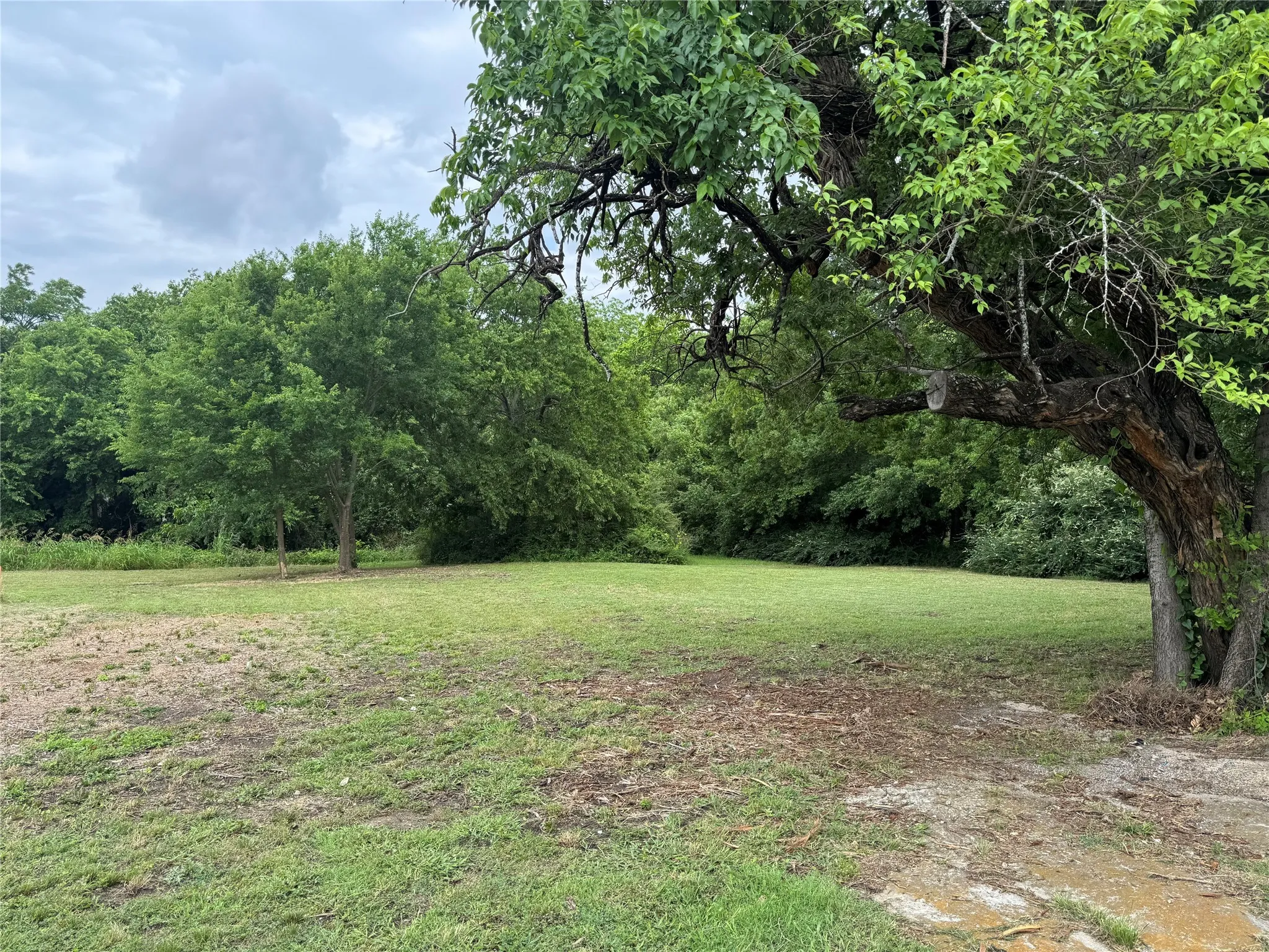 Unimproved Land For Sale in Grayson County , 212 N Harrison Avenue, Sherman, Texas 75090, 0, 0, Garage spaces, 0 Sqft, built in 0, Price $37,000, mls#20956063, Real Estate Agent in Sherman, Homes For Sale in Grayson county, Homes For Sale in Sherman, Realtor in Sherman Texas, Real Estate Brokerage Independent Realty Texas, Luminita Cordes Realtor
