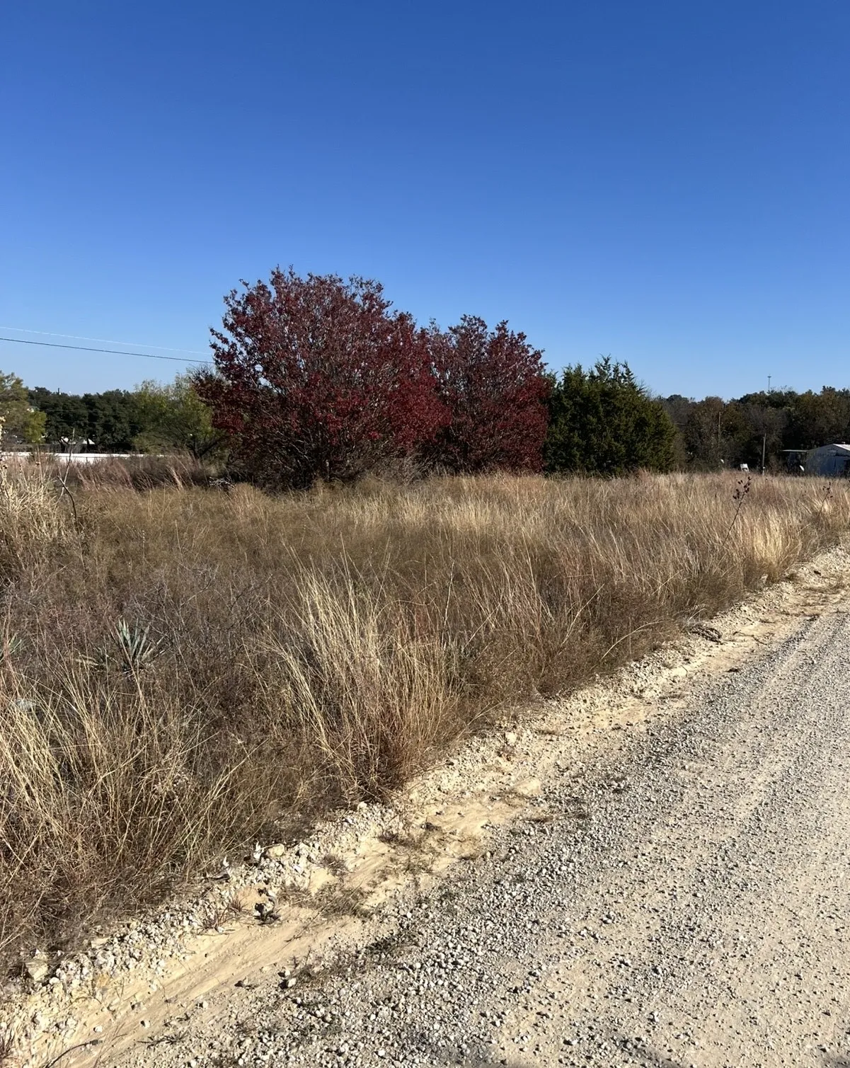 Unimproved Land For Sale in Brown County , 7194 Neal Drive, Brownwood, Texas 76801, 0, 0, Garage spaces, 0 Sqft, built in 0, mls#20957179, Real Estate Agent in Brownwood, Homes For Sale in Brown county, Homes For Sale in Brownwood, Realtor in Brownwood Texas, Real Estate Brokerage Independent Realty Texas, Luminita Cordes Realtor