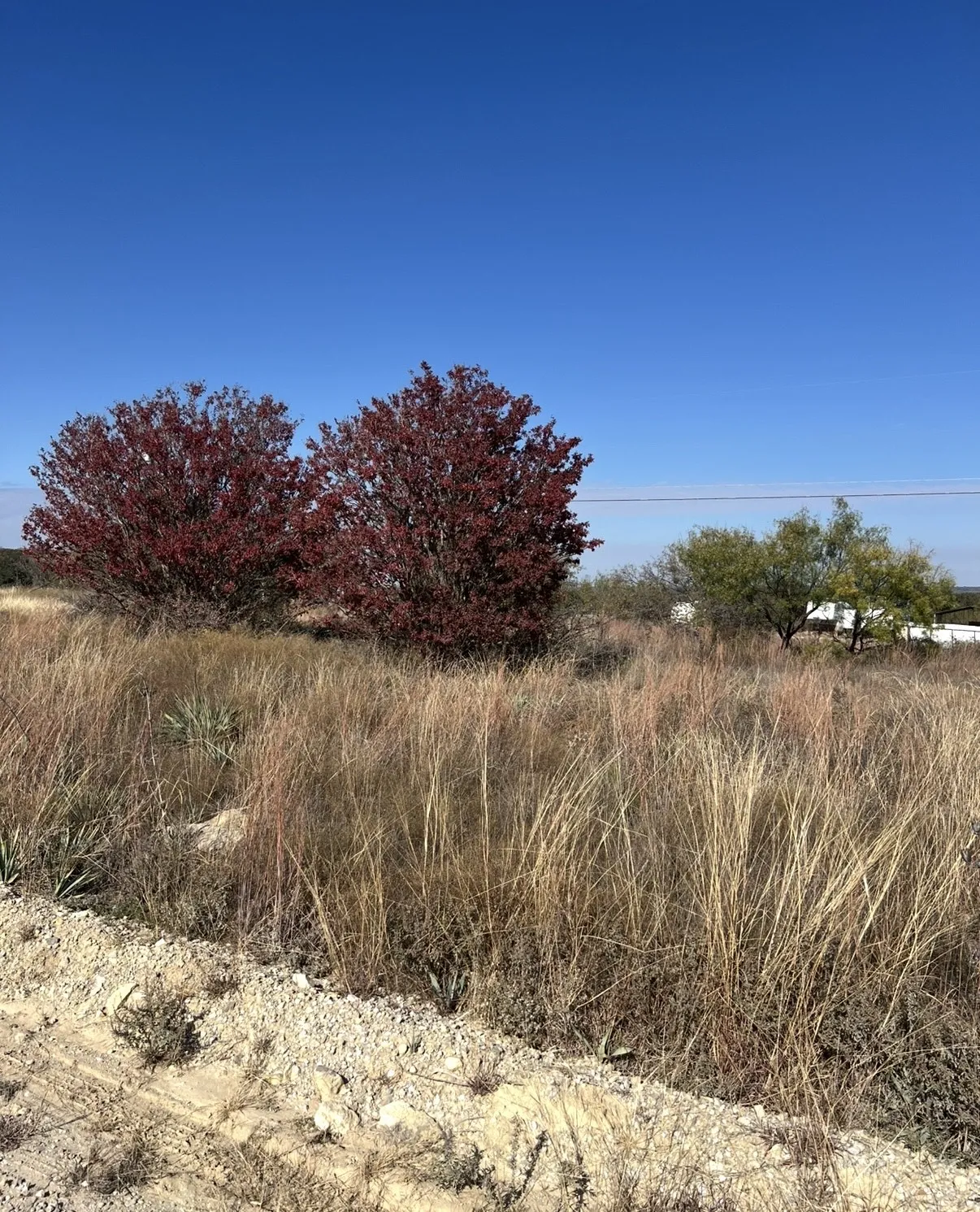 Unimproved Land For Sale in Brown County , 7194 Neal Drive, Brownwood, Texas 76801, 0, 0, Garage spaces, 0 Sqft, built in 0, mls#20957179, Real Estate Agent in Brownwood, Homes For Sale in Brown county, Homes For Sale in Brownwood, Realtor in Brownwood Texas, Real Estate Brokerage Independent Realty Texas, Luminita Cordes Realtor