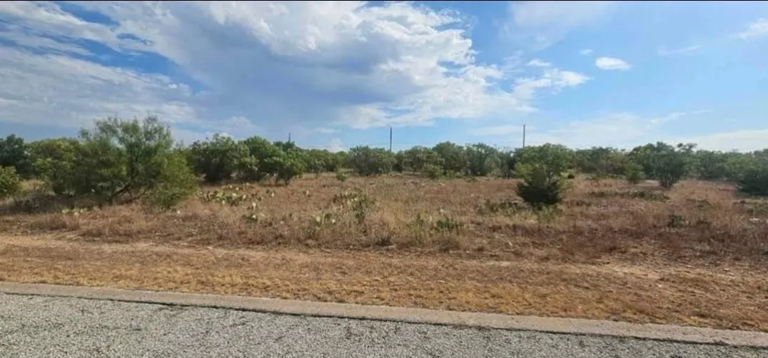 Improved Land For Sale in Palo Pinto County , 170 Poppy Hills Drive, Graford, Texas 76449, 0, 0, Garage spaces, 0 Sqft, built in 0, Price $15,000, mls#20957437, Real Estate Agent in Graford, Homes For Sale in Palo Pinto county, Homes For Sale in Graford, Realtor in Graford Texas, Real Estate Brokerage Independent Realty Texas, Luminita Cordes Realtor