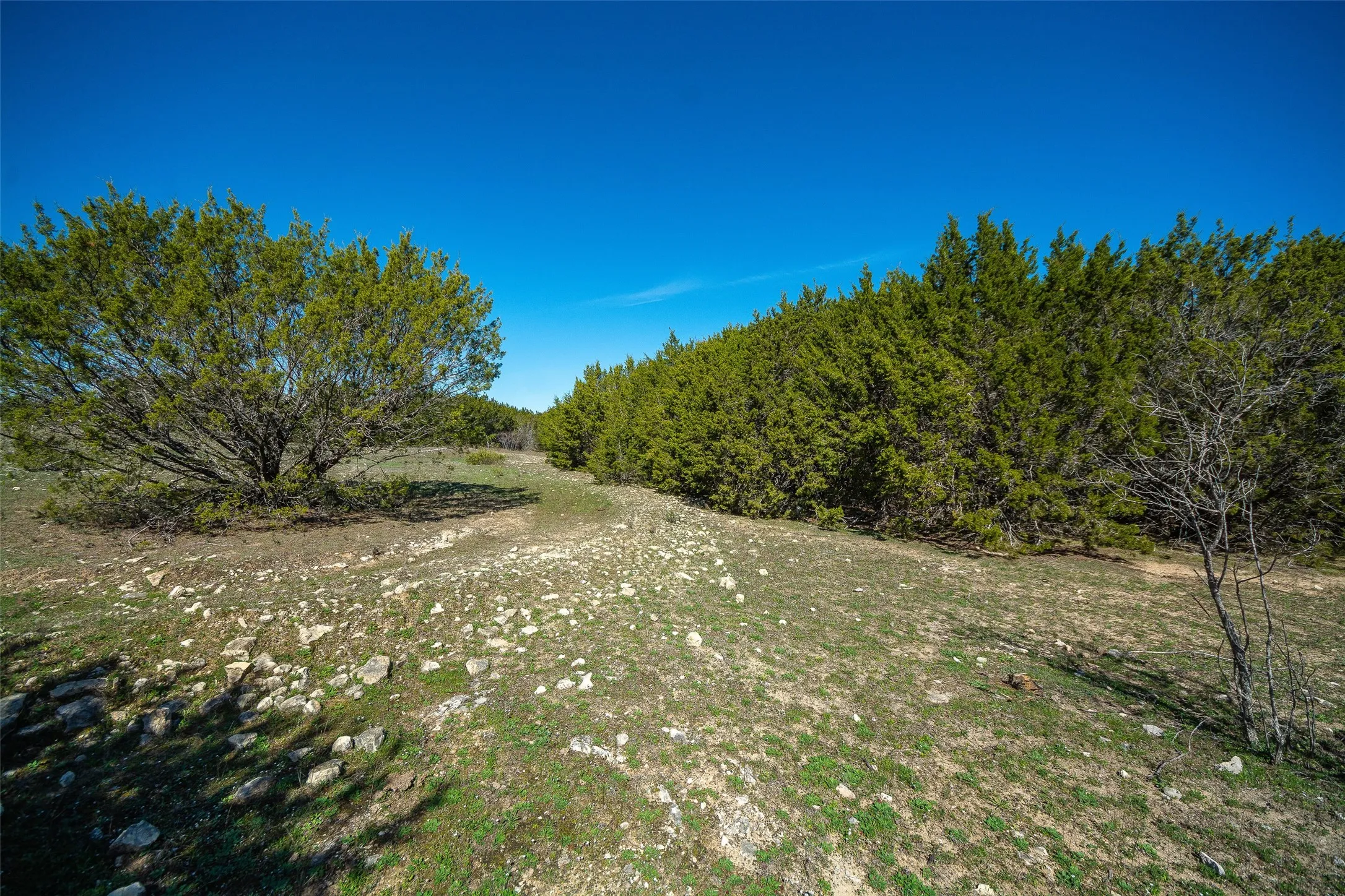 Unimproved Land For Sale in Hood County , 2400 Hermosa Hills Court, Granbury, Texas 76048, 0, 0, Garage spaces, 0 Sqft, built in 0, mls#20958139, Real Estate Agent in Granbury, Homes For Sale in Hood county, Homes For Sale in Granbury, Realtor in Granbury Texas, Real Estate Brokerage Independent Realty Texas, Luminita Cordes Realtor