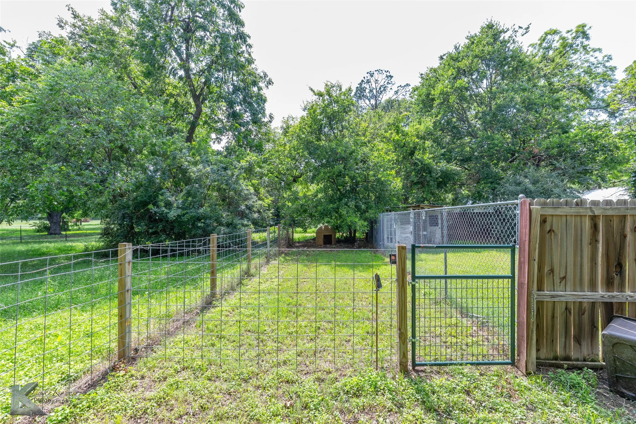 Dog Run