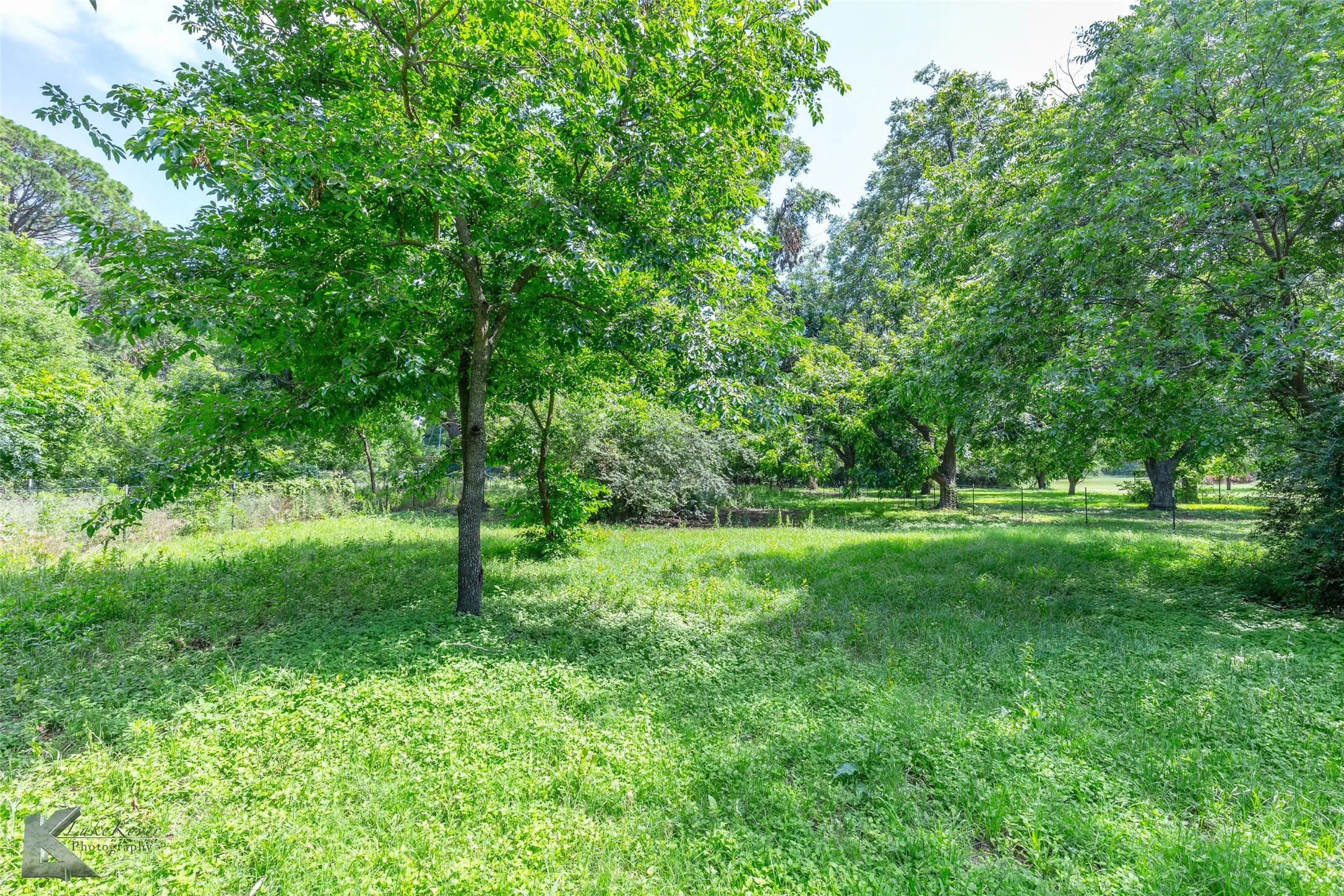 View of Back portion of lot/ Paddock