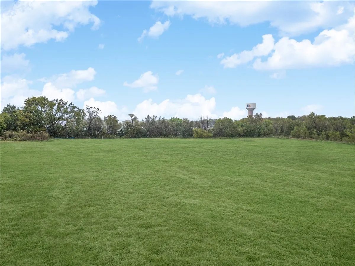 View of green lawn