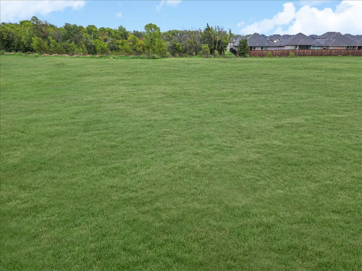 View of grassy yard