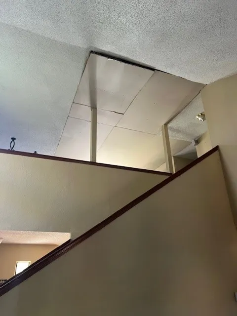 Detailed view of a textured ceiling