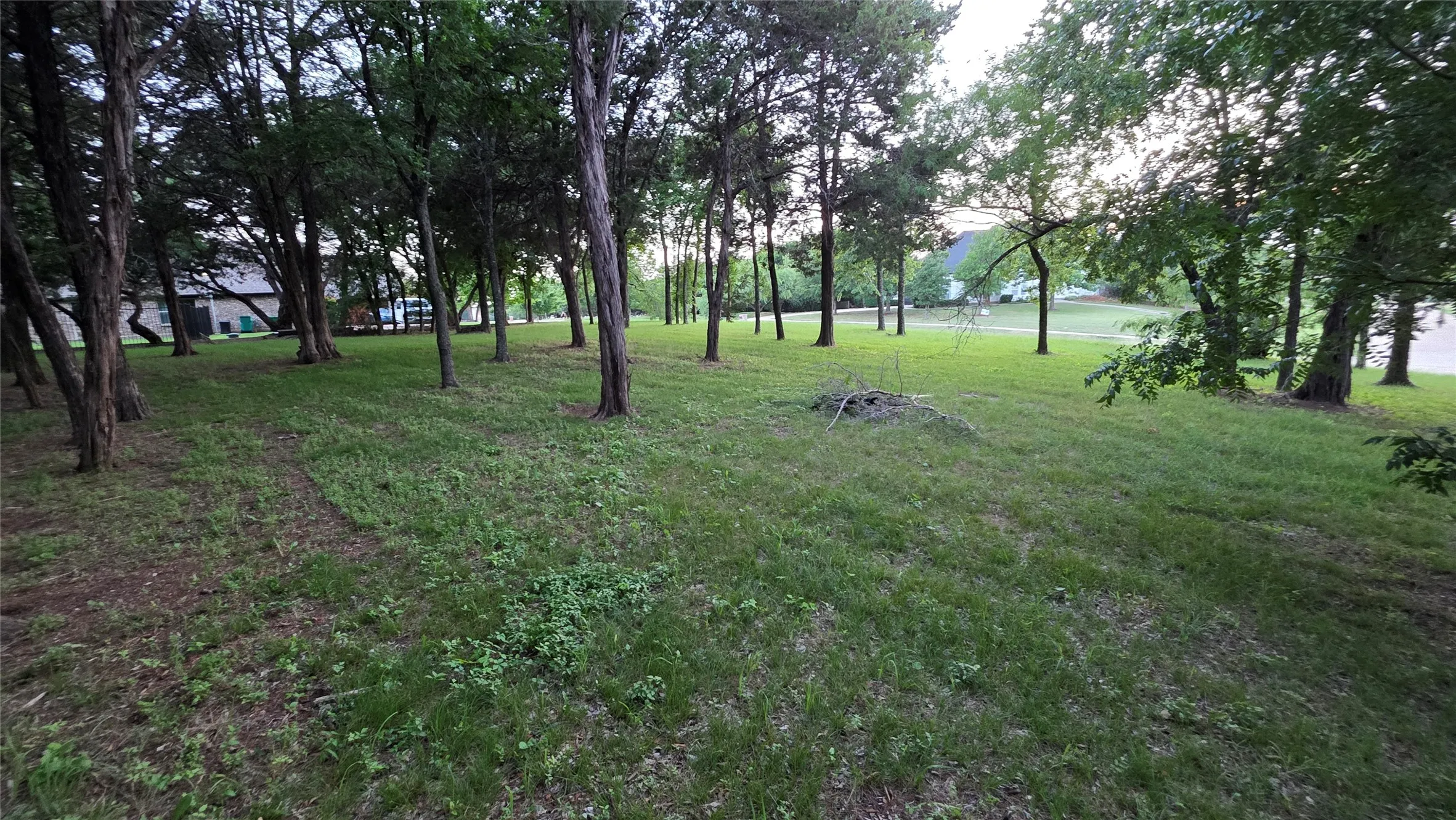 View of grassy yard