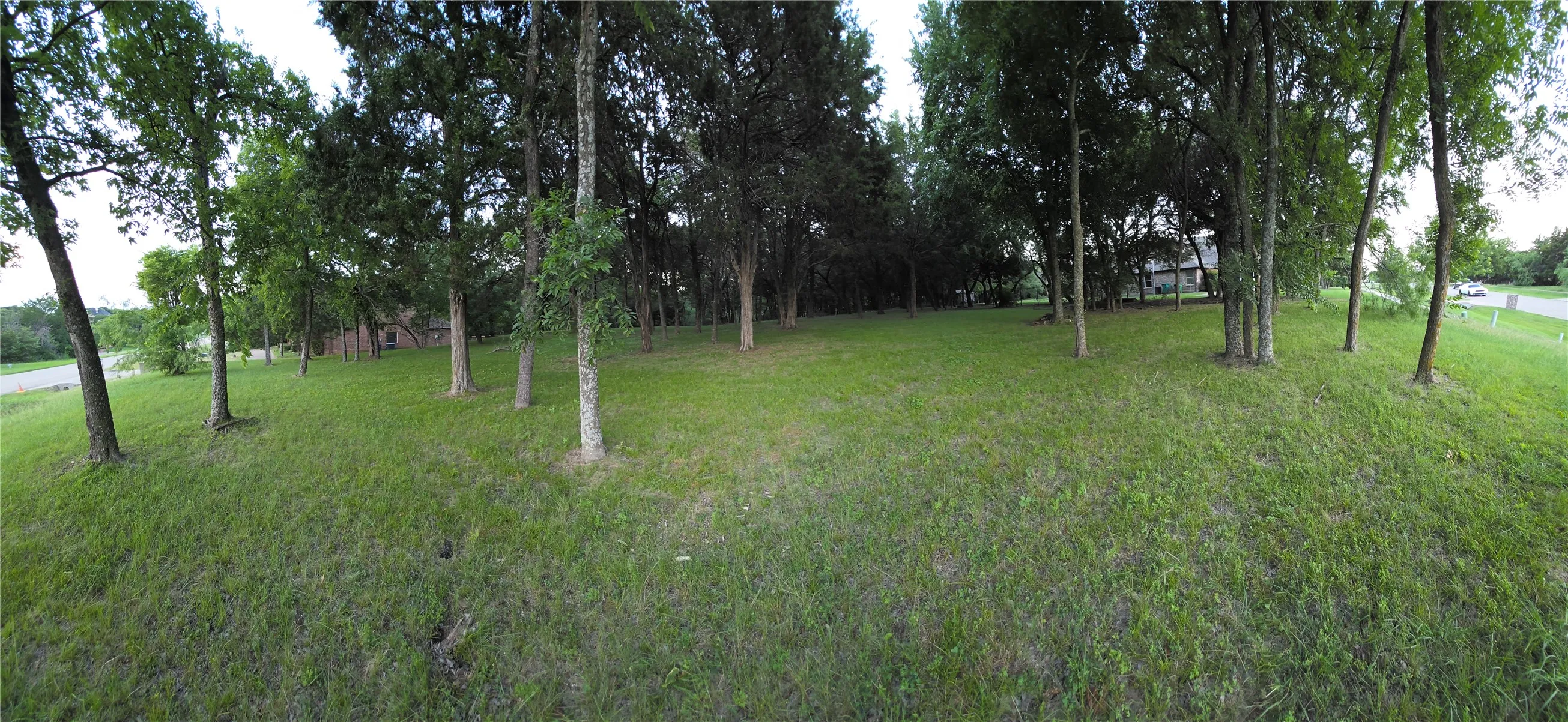 View of green lawn
