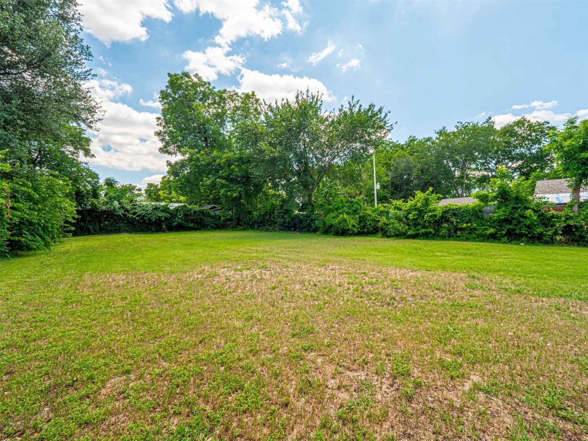 View of grassy yard
