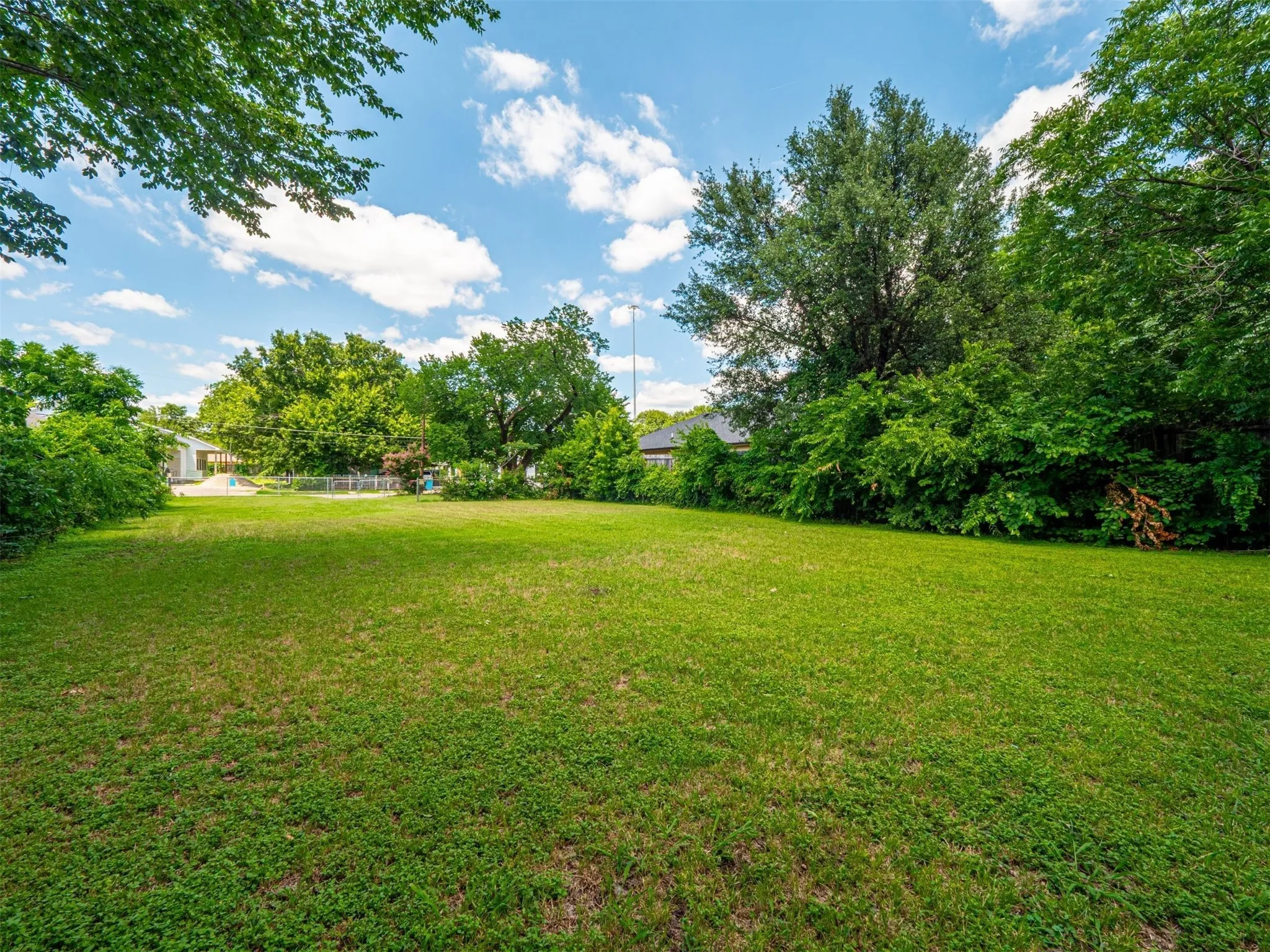View of green lawn
