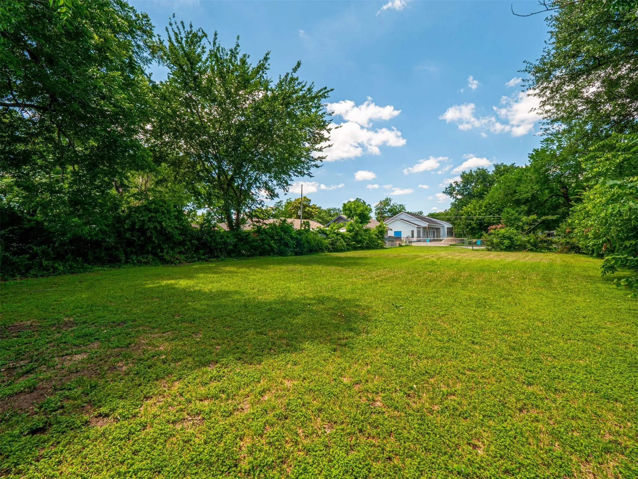 View of green lawn
