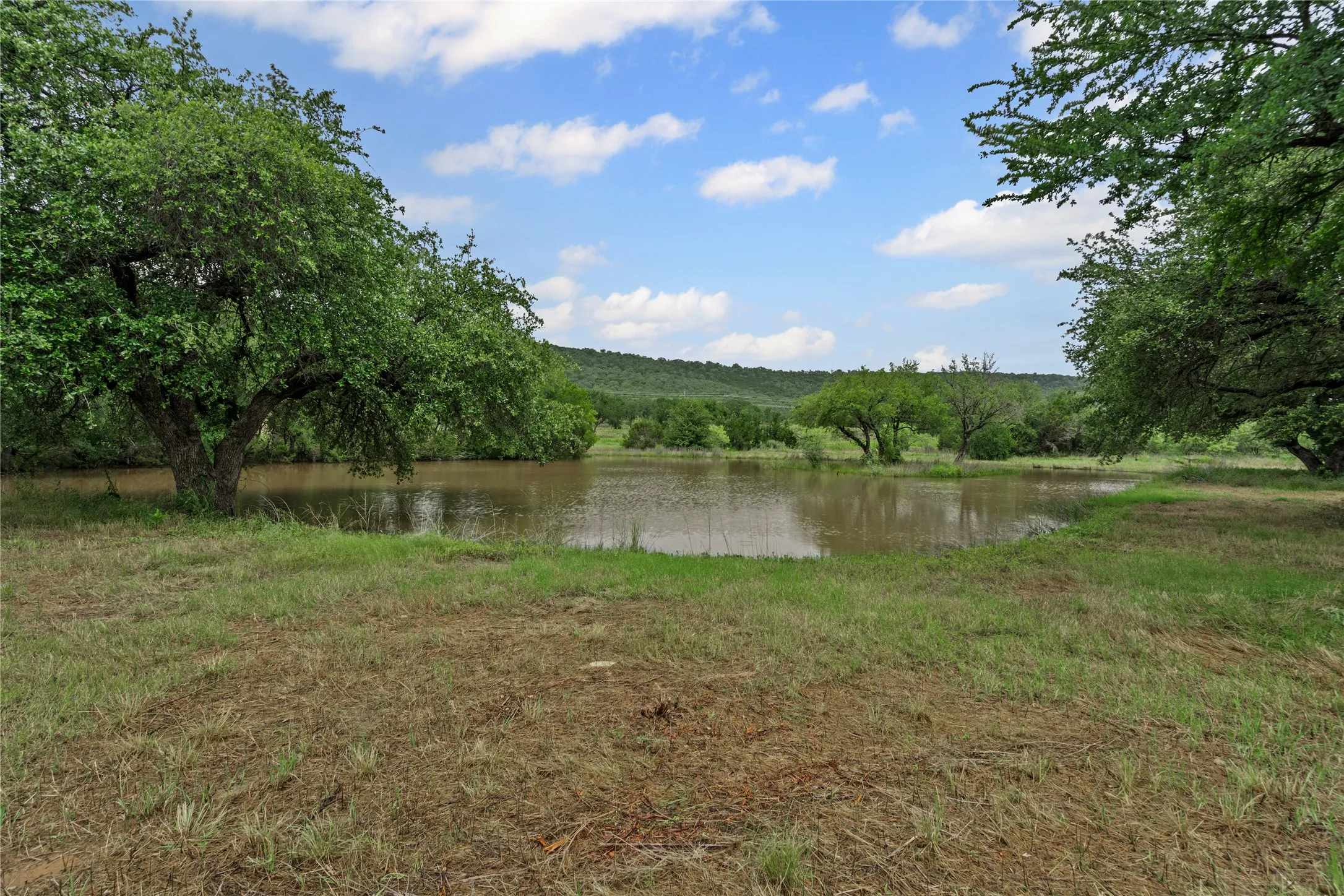 Water view featuring a heavily wooded area