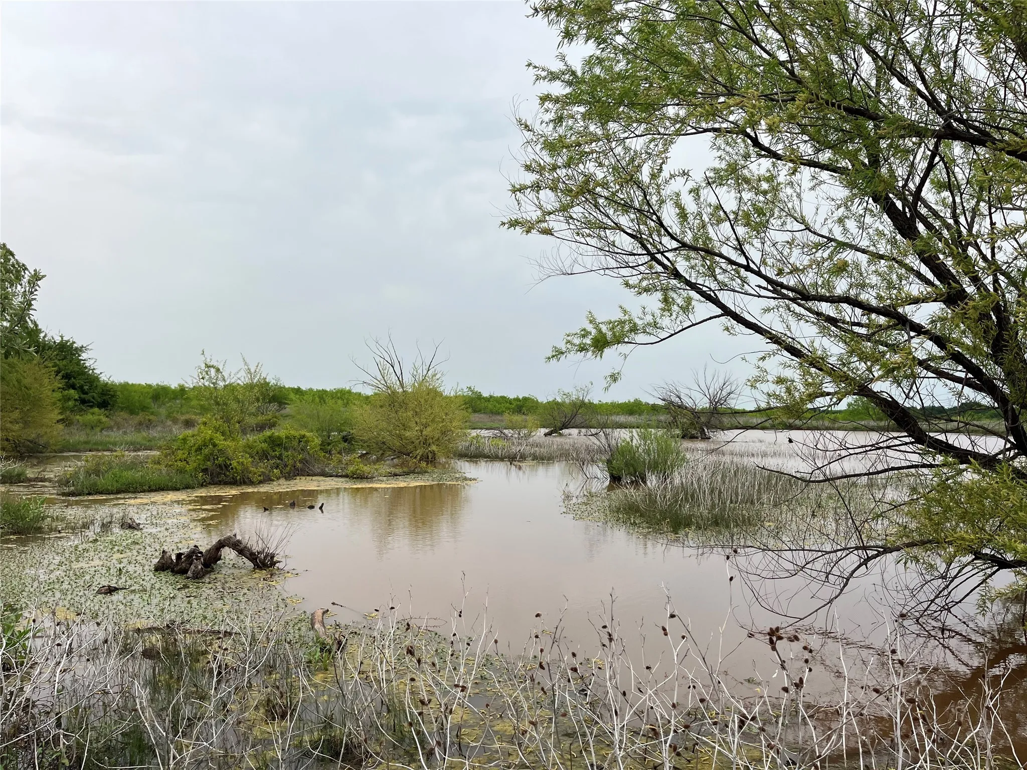 Ranch For Sale in Clay County , 000 Flinn Road, Bellevue, Texas 76228, 0, 0, Garage spaces, 0 Sqft, built in 0, Price $4,044,300, mls#20965363, Real Estate Agent in Bellevue, Homes For Sale in Clay county, Homes For Sale in Bellevue, Realtor in Bellevue Texas, Real Estate Brokerage Independent Realty Texas, Luminita Cordes Realtor