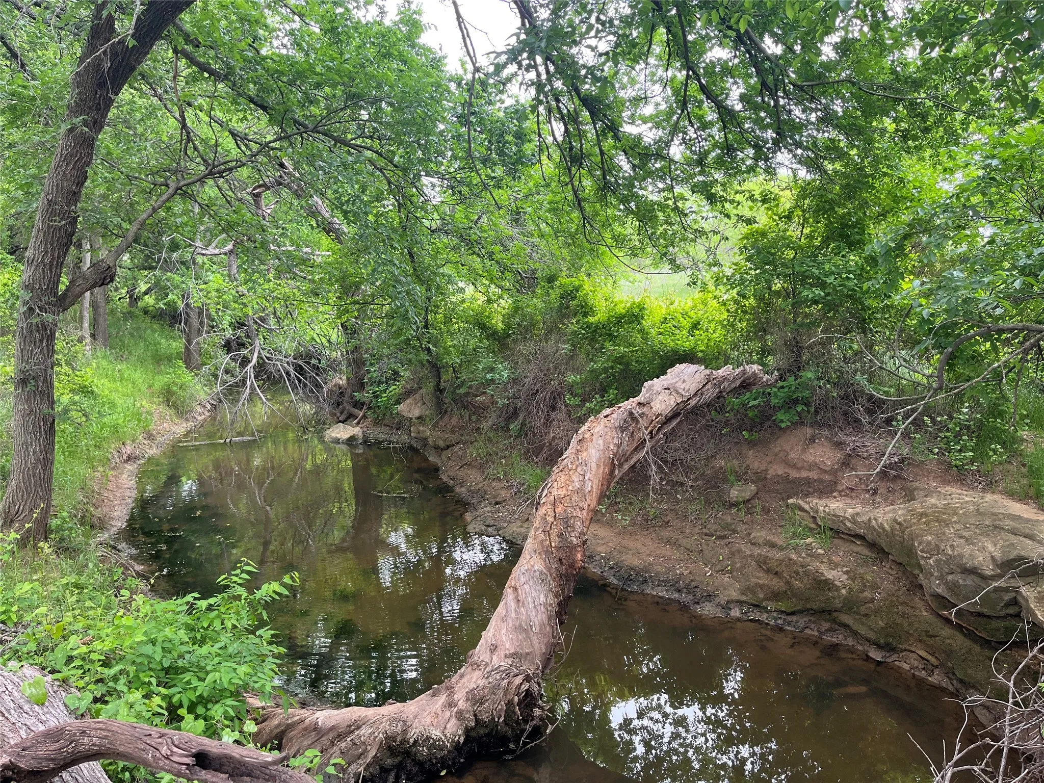 Ranch For Sale in Clay County , 000 Flinn Road, Bellevue, Texas 76228, 0, 0, Garage spaces, 0 Sqft, built in 0, Price $4,044,300, mls#20965363, Real Estate Agent in Bellevue, Homes For Sale in Clay county, Homes For Sale in Bellevue, Realtor in Bellevue Texas, Real Estate Brokerage Independent Realty Texas, Luminita Cordes Realtor
