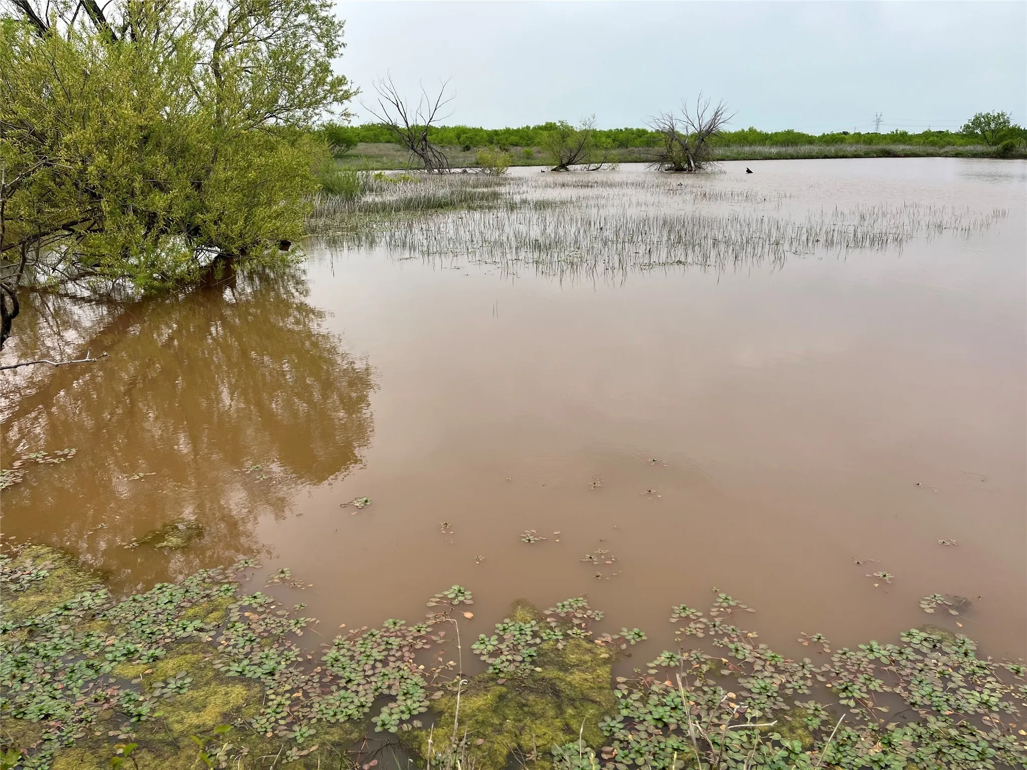 Ranch For Sale in Clay County , 000 Flinn Road, Bellevue, Texas 76228, 0, 0, Garage spaces, 0 Sqft, built in 0, Price $4,044,300, mls#20965363, Real Estate Agent in Bellevue, Homes For Sale in Clay county, Homes For Sale in Bellevue, Realtor in Bellevue Texas, Real Estate Brokerage Independent Realty Texas, Luminita Cordes Realtor