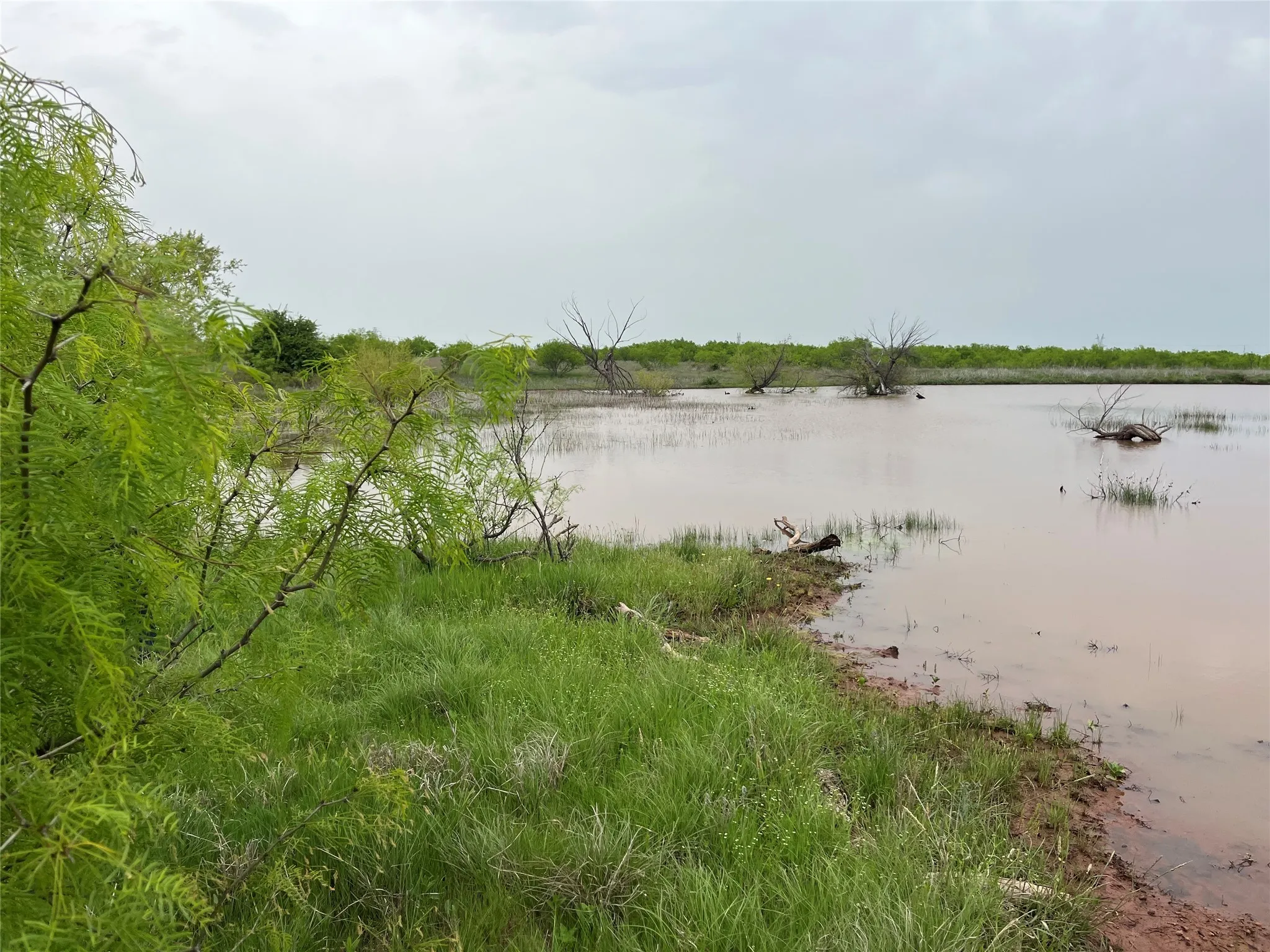 Ranch For Sale in Clay County , 000 Flinn Road, Bellevue, Texas 76228, 0, 0, Garage spaces, 0 Sqft, built in 0, Price $4,044,300, mls#20965363, Real Estate Agent in Bellevue, Homes For Sale in Clay county, Homes For Sale in Bellevue, Realtor in Bellevue Texas, Real Estate Brokerage Independent Realty Texas, Luminita Cordes Realtor