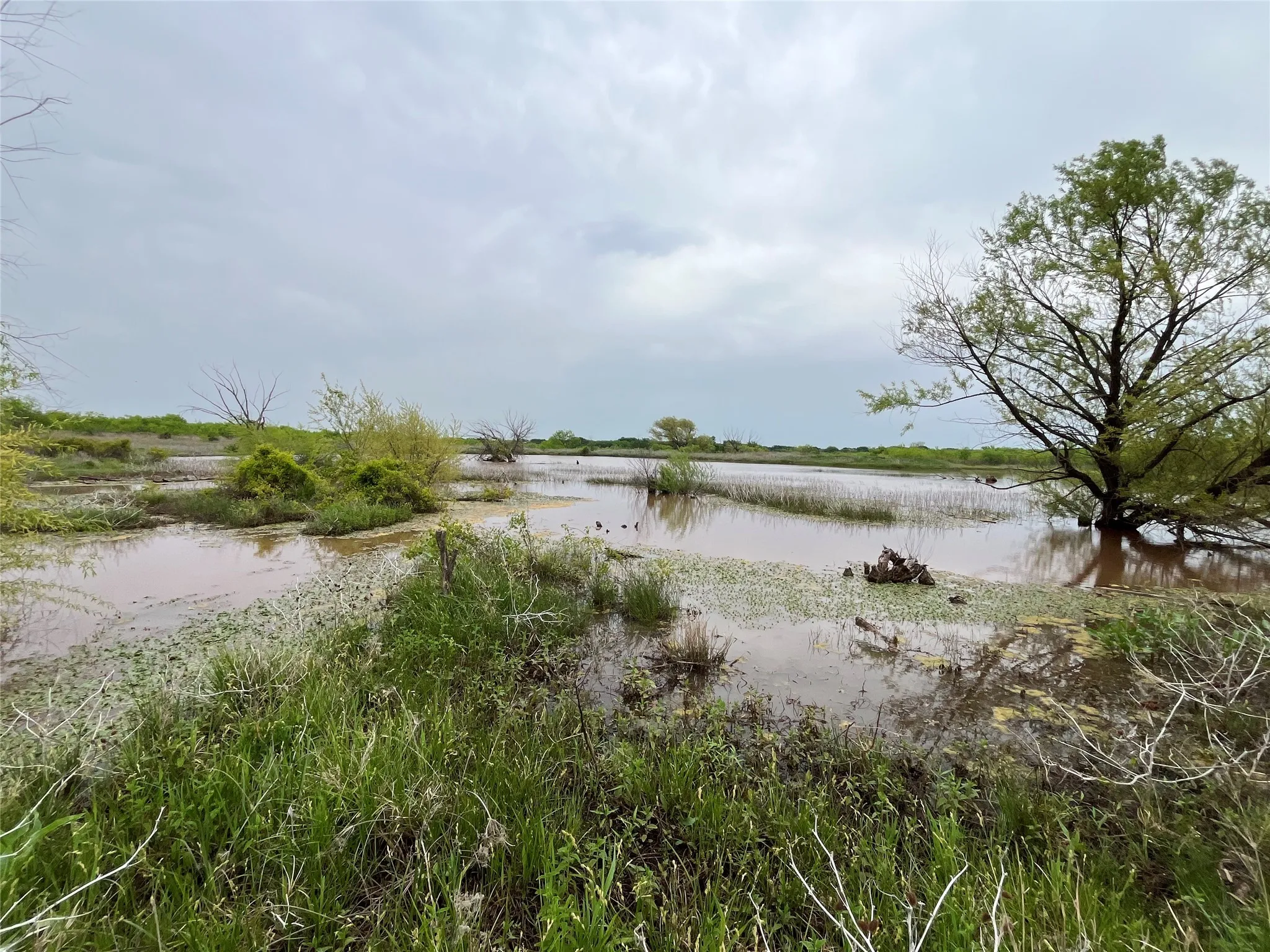 Ranch For Sale in Clay County , 000 Flinn Road, Bellevue, Texas 76228, 0, 0, Garage spaces, 0 Sqft, built in 0, Price $4,044,300, mls#20965363, Real Estate Agent in Bellevue, Homes For Sale in Clay county, Homes For Sale in Bellevue, Realtor in Bellevue Texas, Real Estate Brokerage Independent Realty Texas, Luminita Cordes Realtor