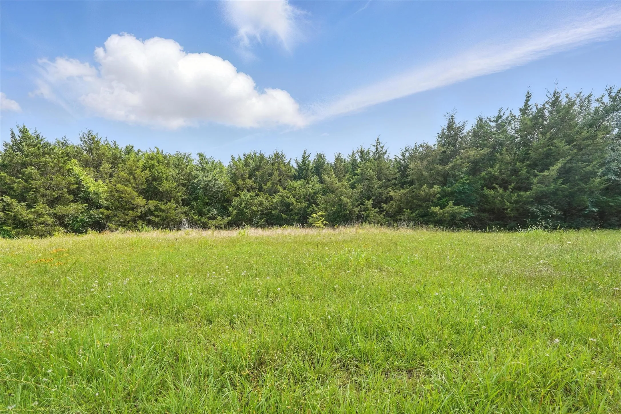 View of wooded area
