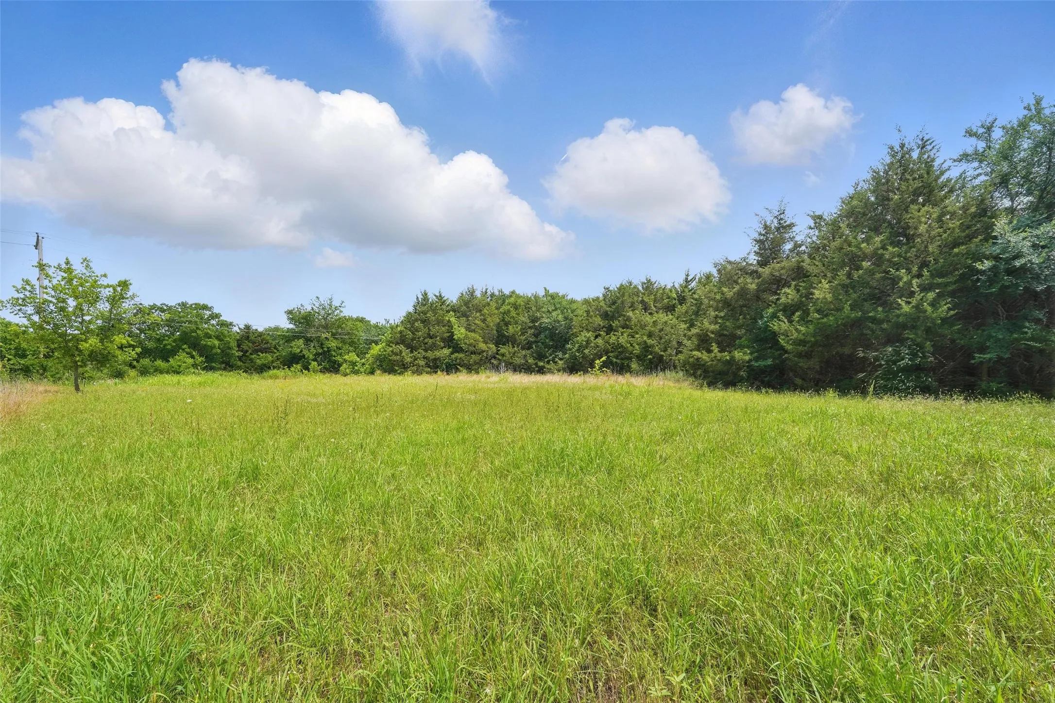 View of wooded area