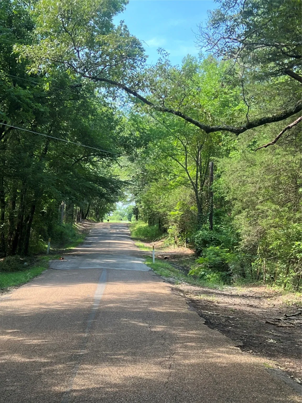 View of street featuring a forest view