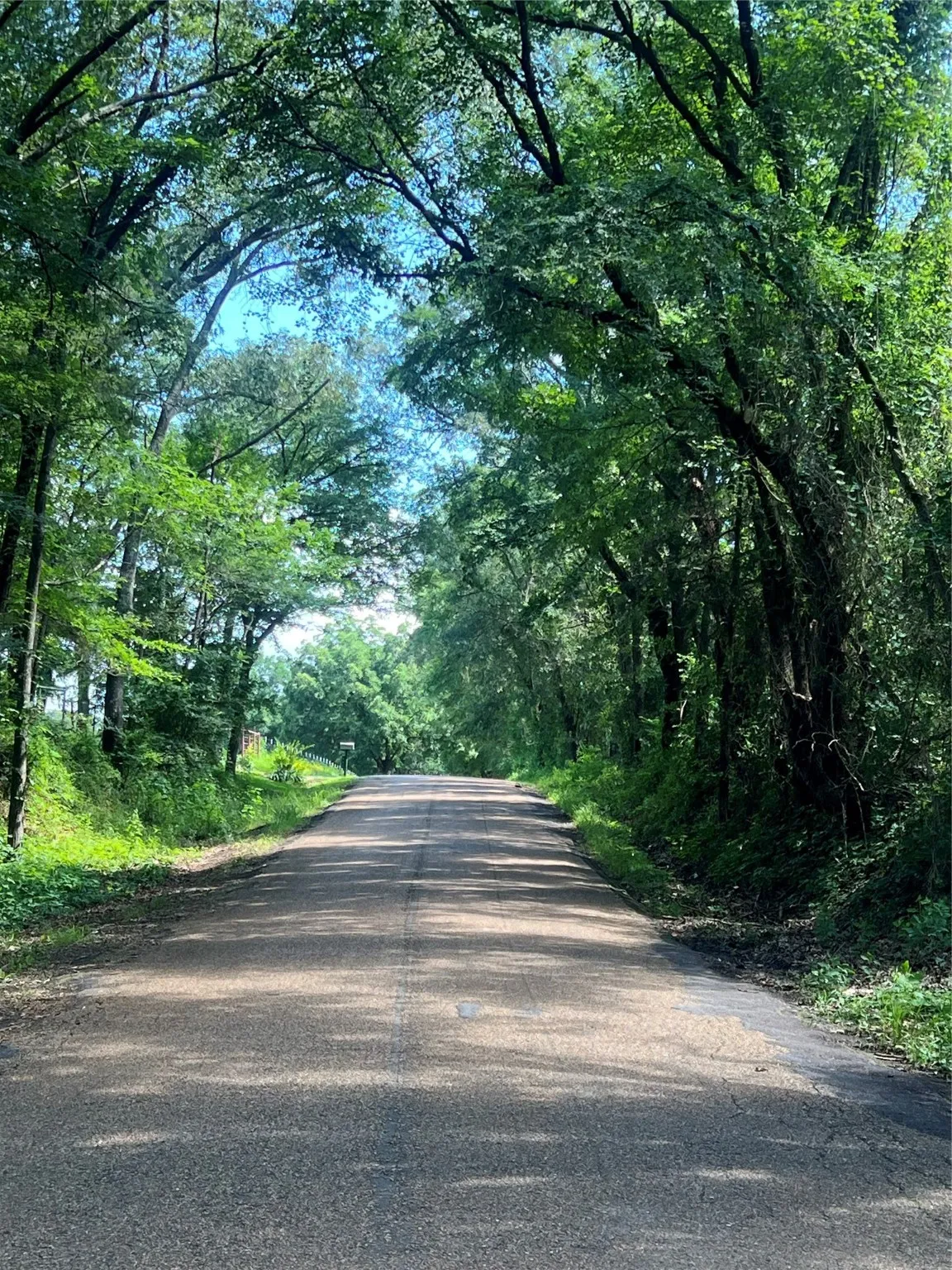 View of asphalt road