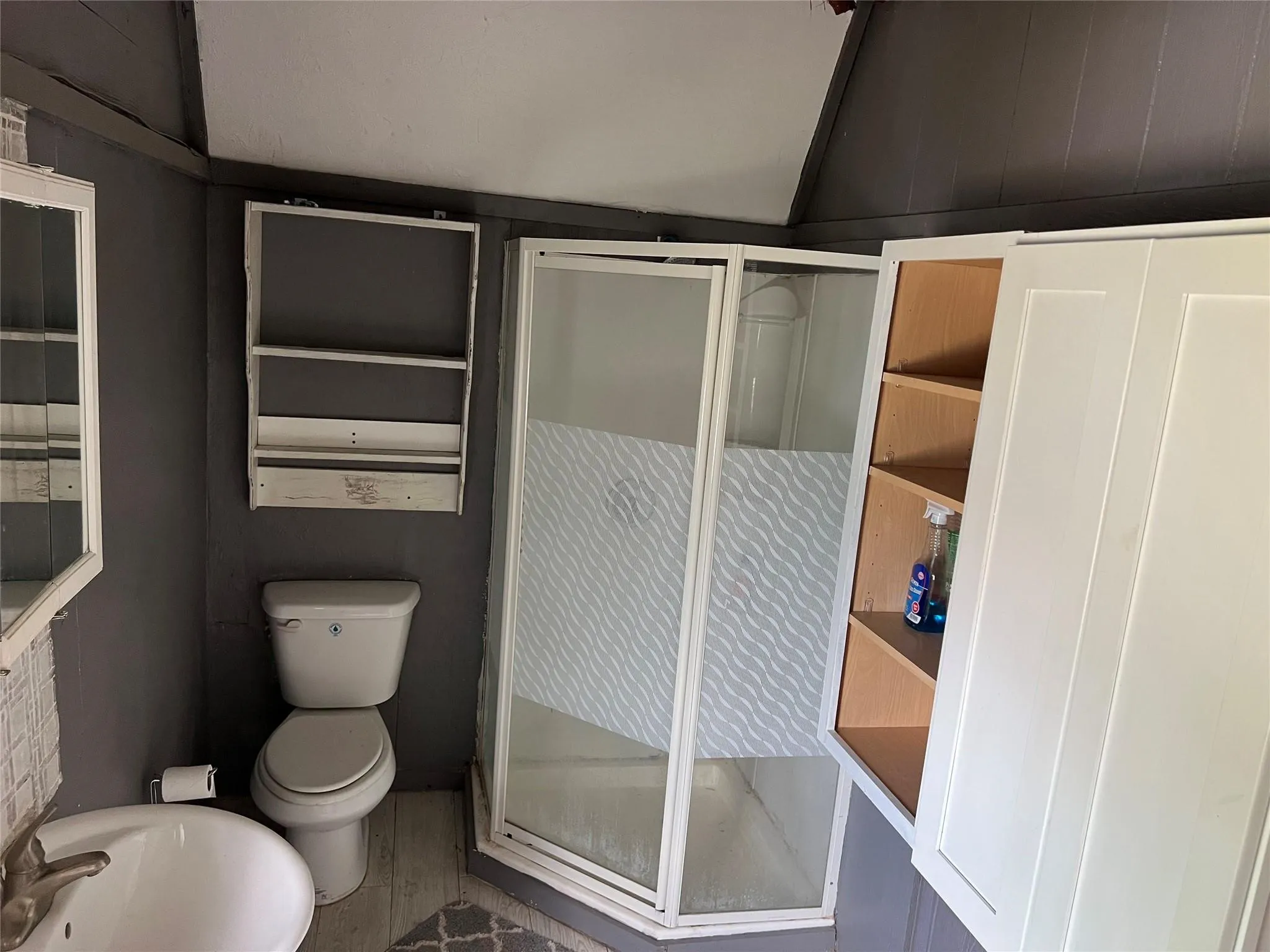 Full bathroom featuring a shower stall and lofted ceiling