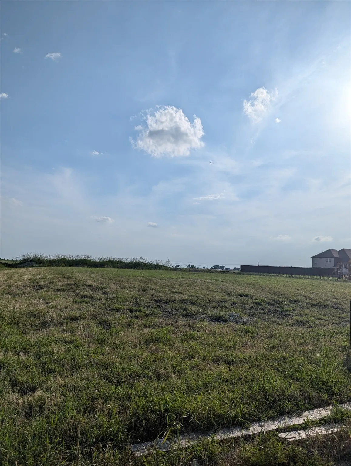Unimproved Land For Sale in Grayson County , 1129 MACGREGOR Lane, Gunter, Texas 75058, 0, 0, Garage spaces, 0 Sqft, built in 0, mls#20966539, Real Estate Agent in Gunter, Homes For Sale in Grayson county, Homes For Sale in Gunter, Realtor in Gunter Texas, Real Estate Brokerage Independent Realty Texas, Luminita Cordes Realtor