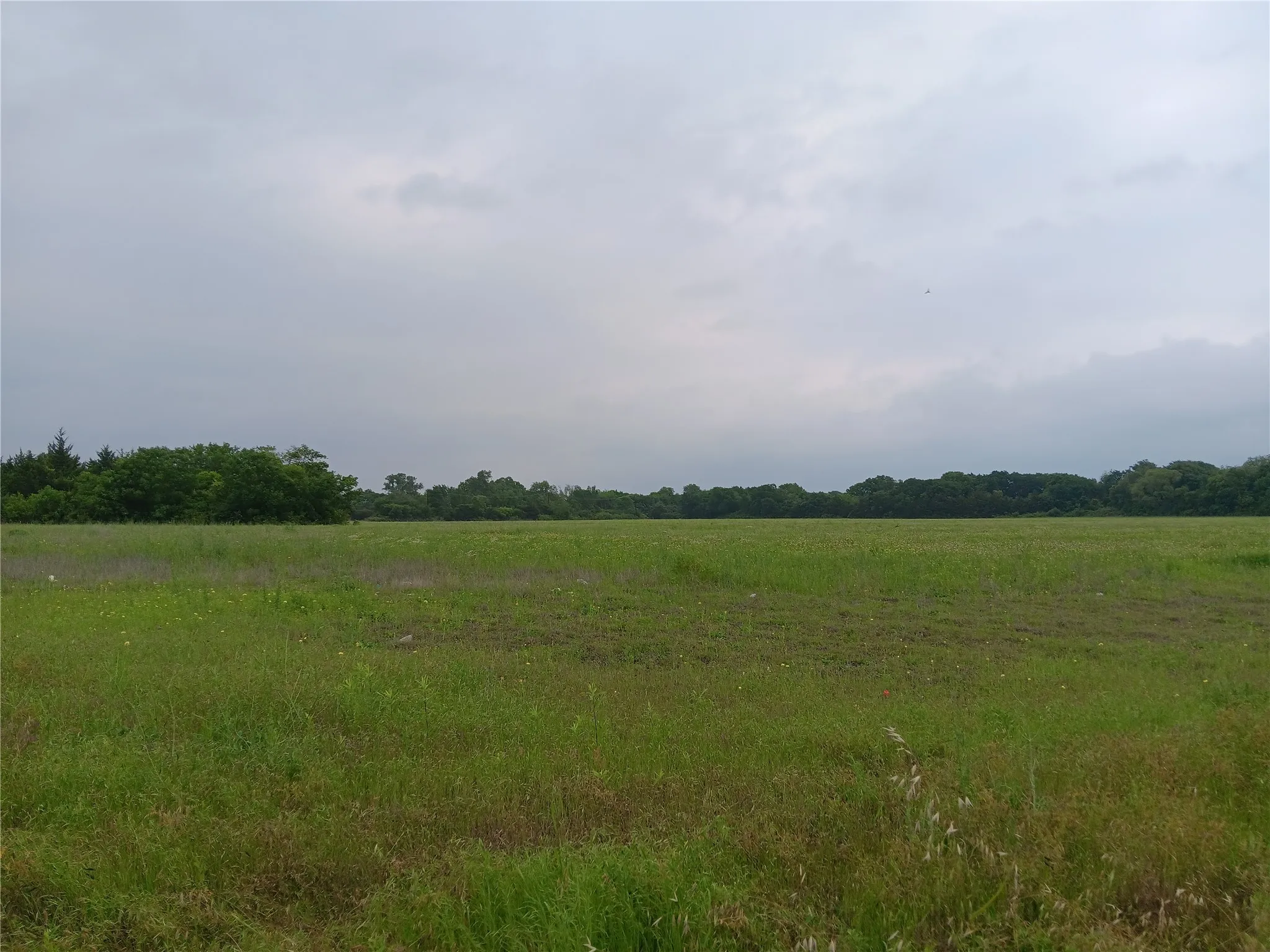 Unimproved Land For Sale in Dallas County , 1400 W Wintergreen Road, Lancaster, Texas 75134, 0, 0, Garage spaces, 0 Sqft, built in 0, mls#20966580, Real Estate Agent in Lancaster, Homes For Sale in Dallas county, Homes For Sale in Lancaster, Realtor in Lancaster Texas, Real Estate Brokerage Independent Realty Texas, Luminita Cordes Realtor