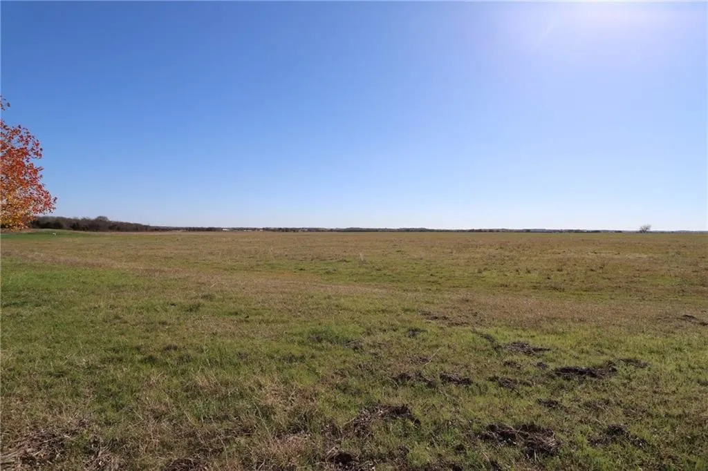 Unimproved Land For Sale in Mc Lennan County , 739 Willow Branch Road, Mc Gregor, Texas 76657, 0, 0, Garage spaces, 0 Sqft, built in 0, Price $3,659,760, mls#20966904, Real Estate Agent in Mc Gregor, Homes For Sale in Mc Lennan county, Homes For Sale in Mc Gregor, Realtor in Mc Gregor Texas, Real Estate Brokerage Independent Realty Texas, Luminita Cordes Realtor