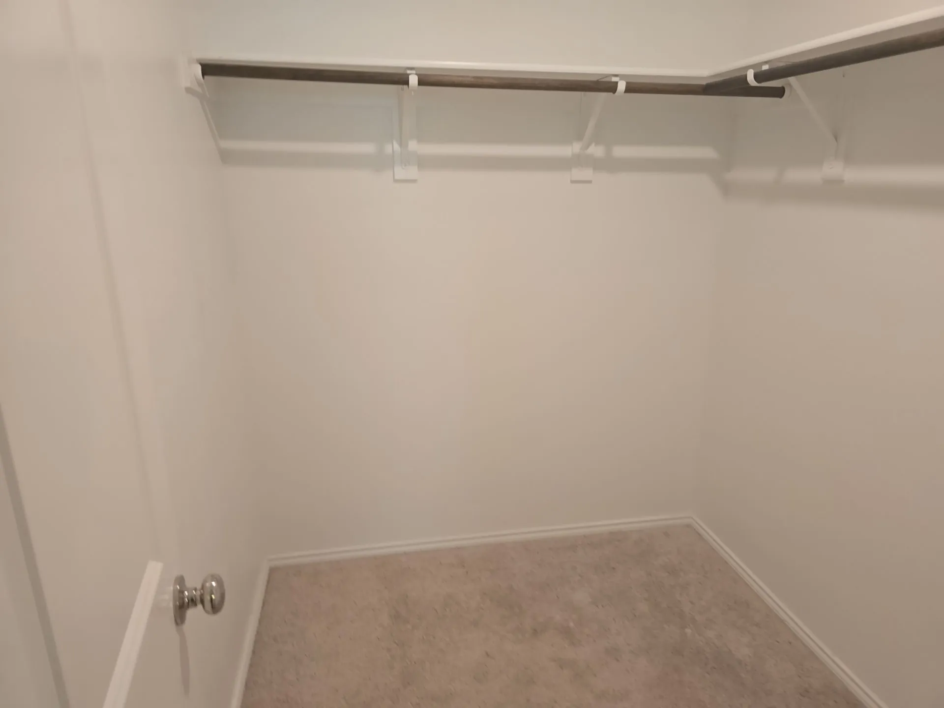 Spacious closet featuring carpet flooring