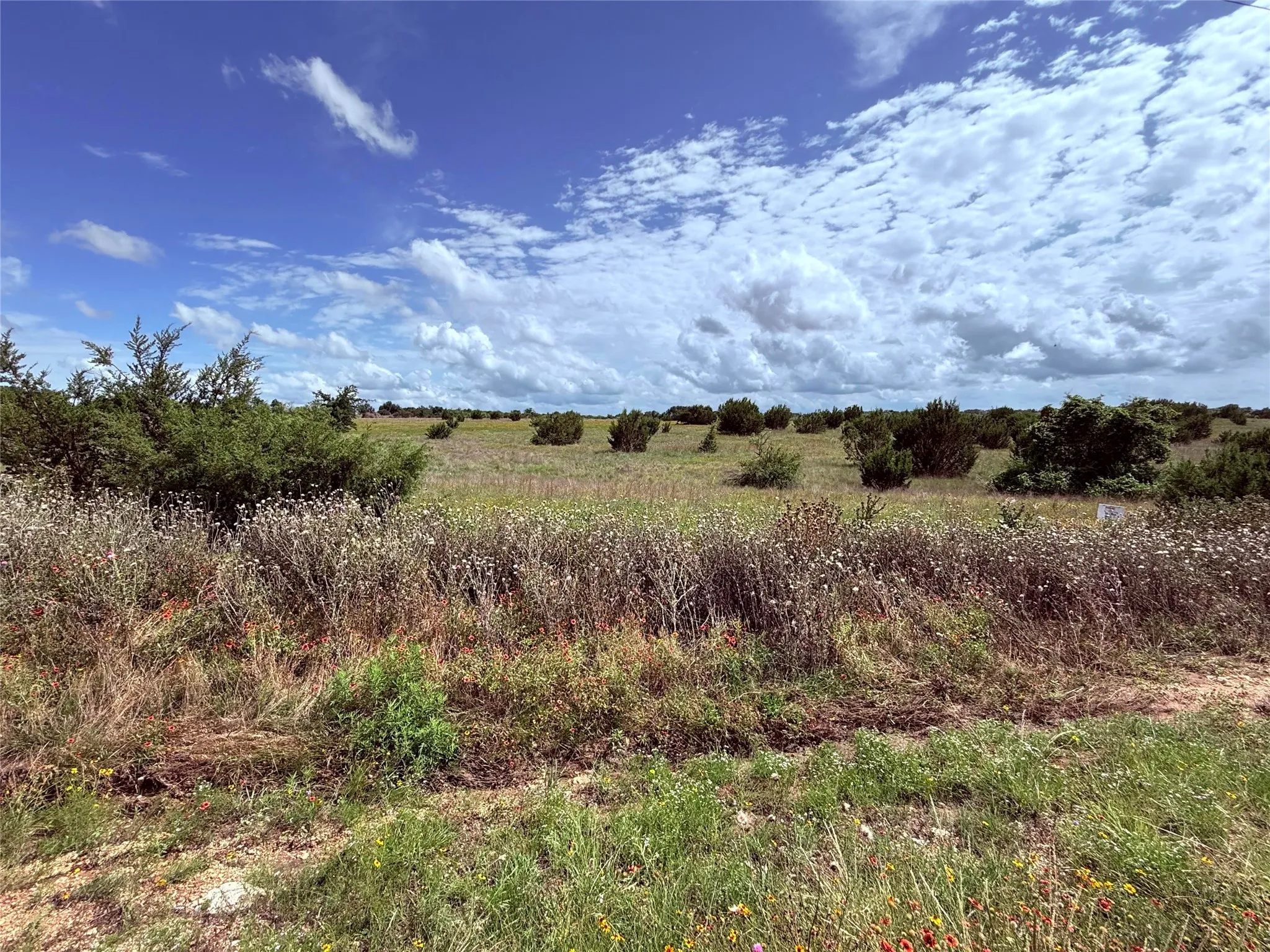 View of local wilderness with rural landscape
