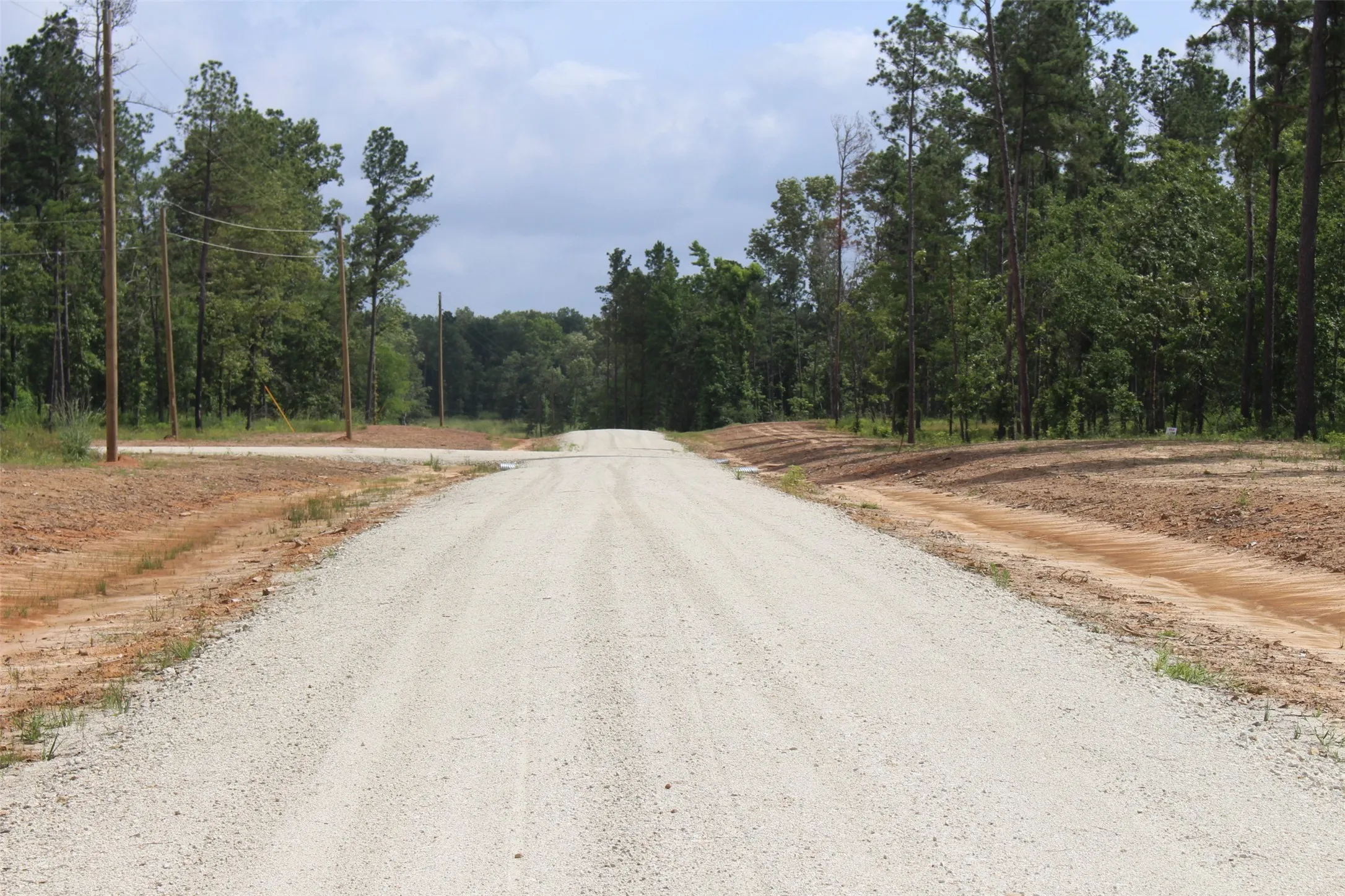 View of dirt / gravel road featuring a wooded view