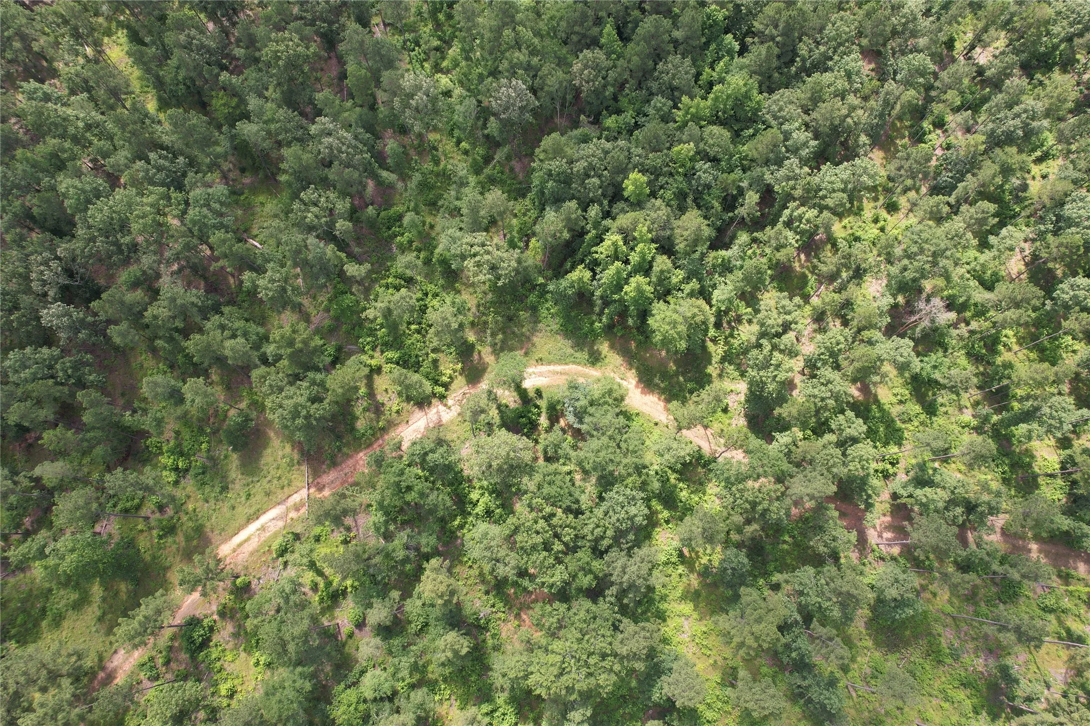 Shows the road on the subject tract as it surves back to the right.