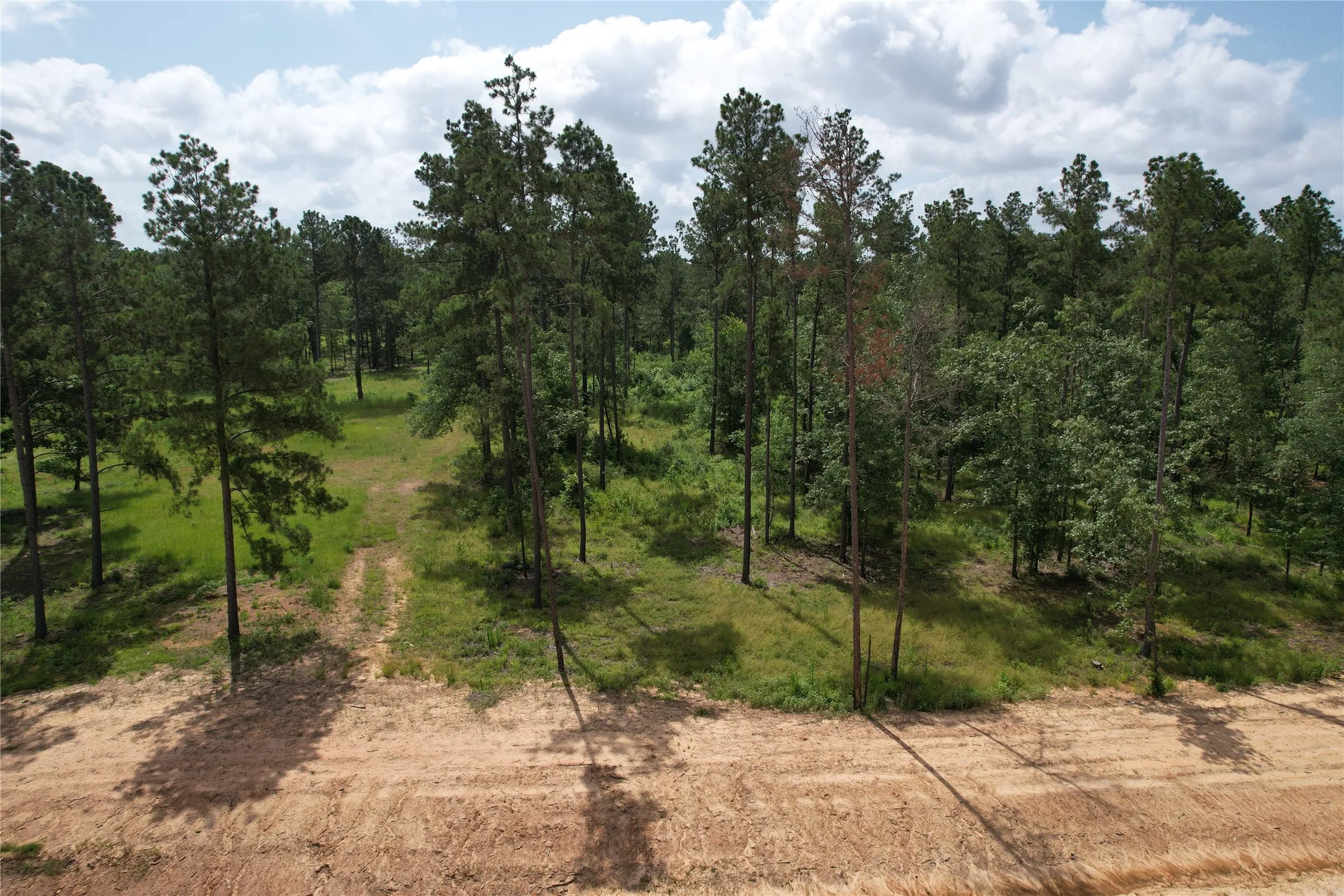 The little dirt road shown on the left of the picture is part of the tract.