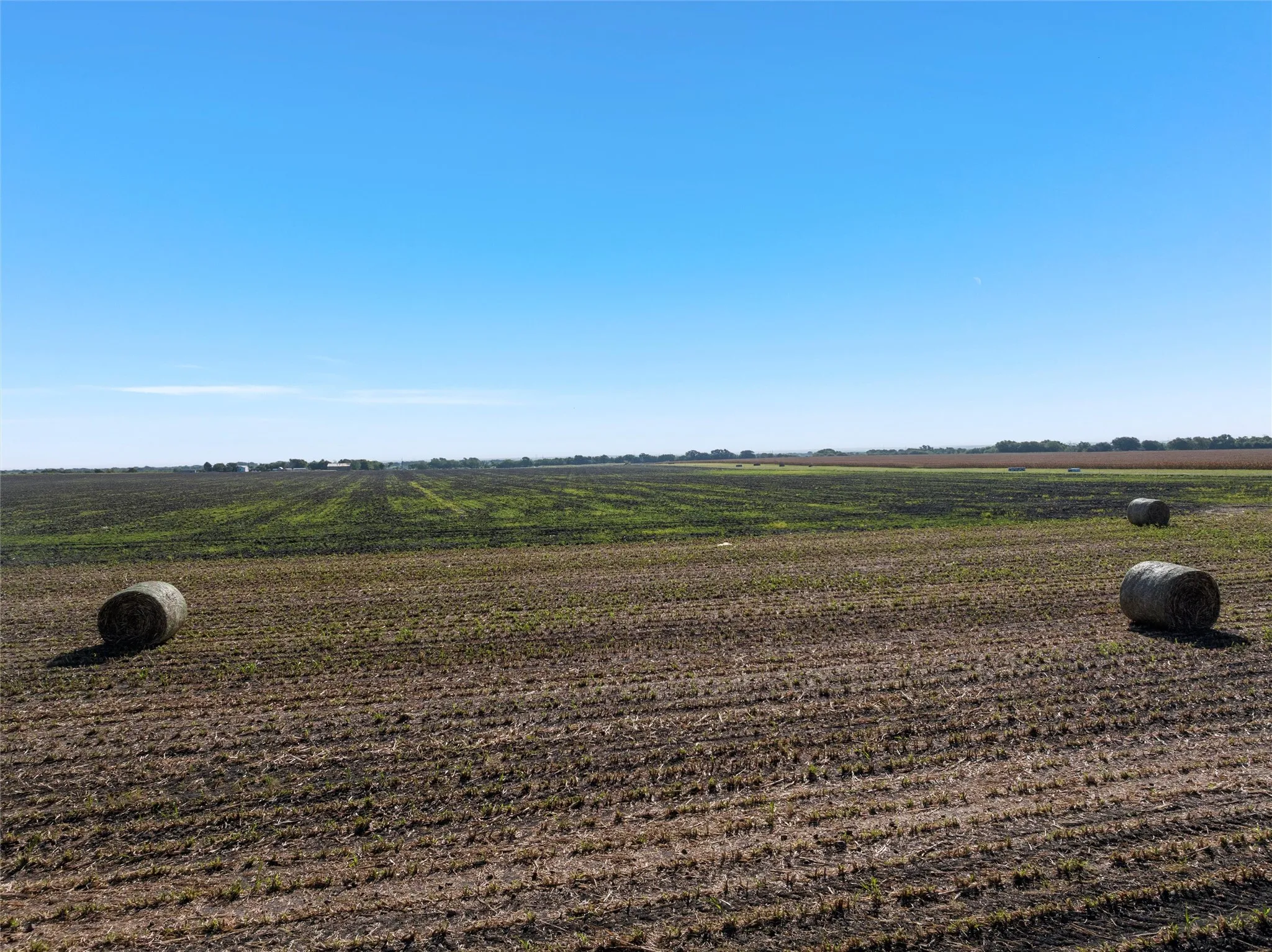 View of yard with a view of rural / pastoral area