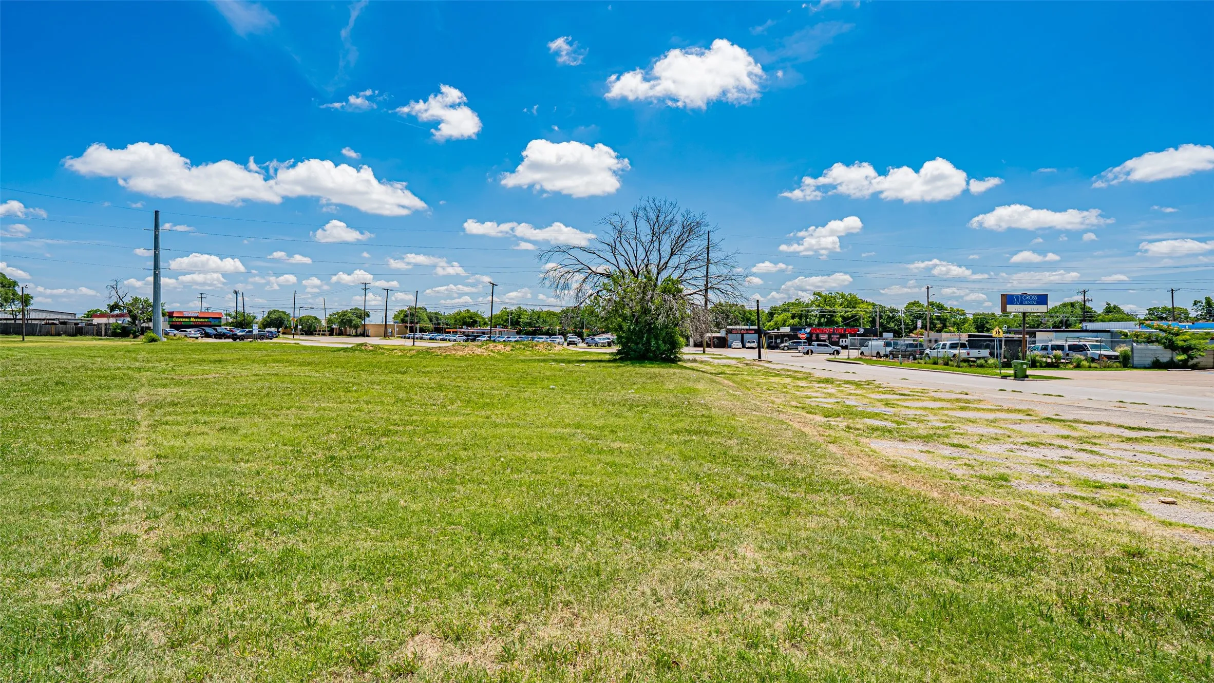View of grassy yard