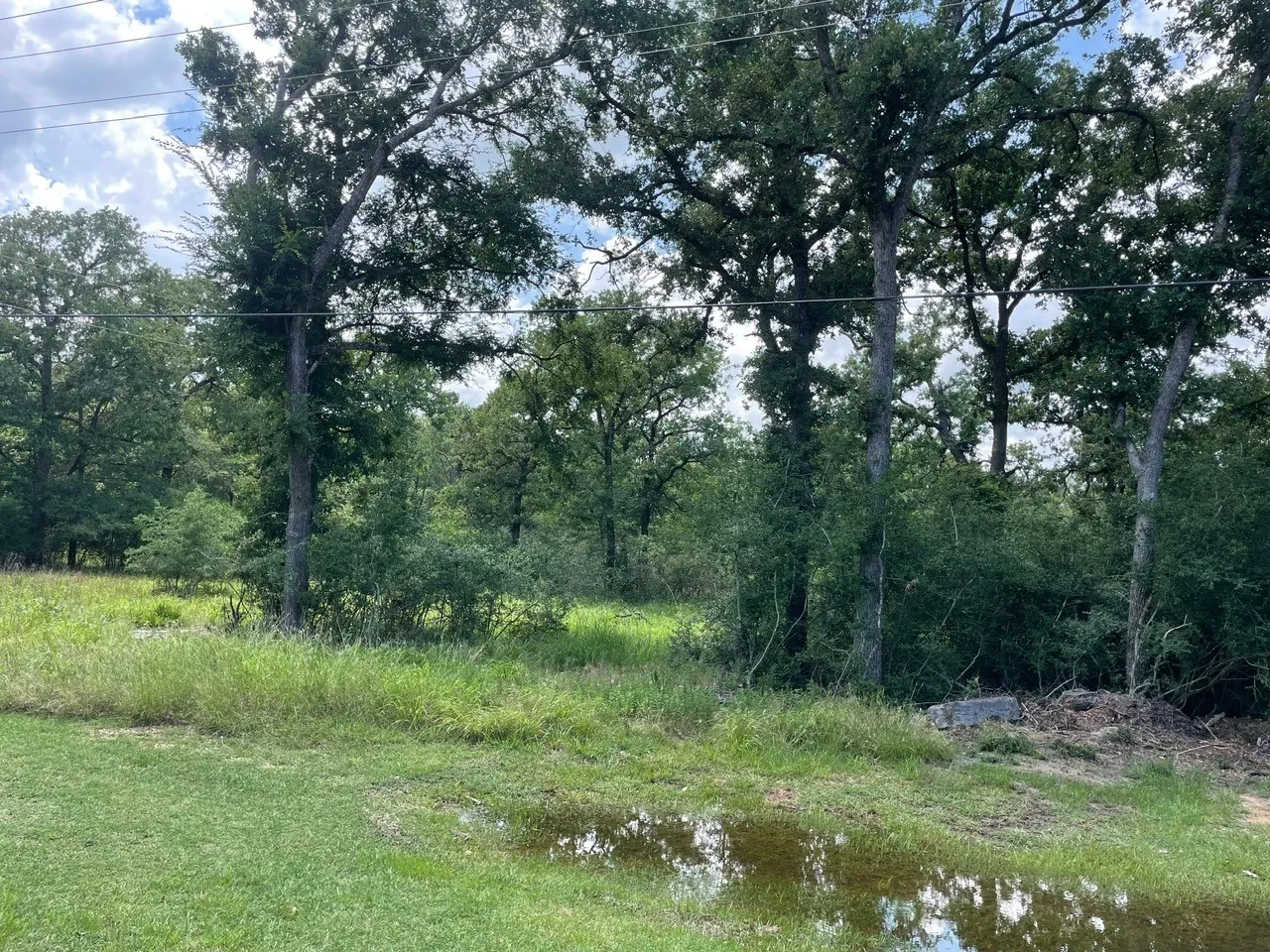 Unimproved Land For Sale in Limestone County , 3495 Lcr 750, Thornton, Texas 76687, 0, 0, Garage spaces, 0 Sqft, built in 0, Price $110,000, mls#20965446, Real Estate Agent in Thornton, Homes For Sale in Limestone county, Homes For Sale in Thornton, Realtor in Thornton Texas, Real Estate Brokerage Independent Realty Texas, Luminita Cordes Realtor