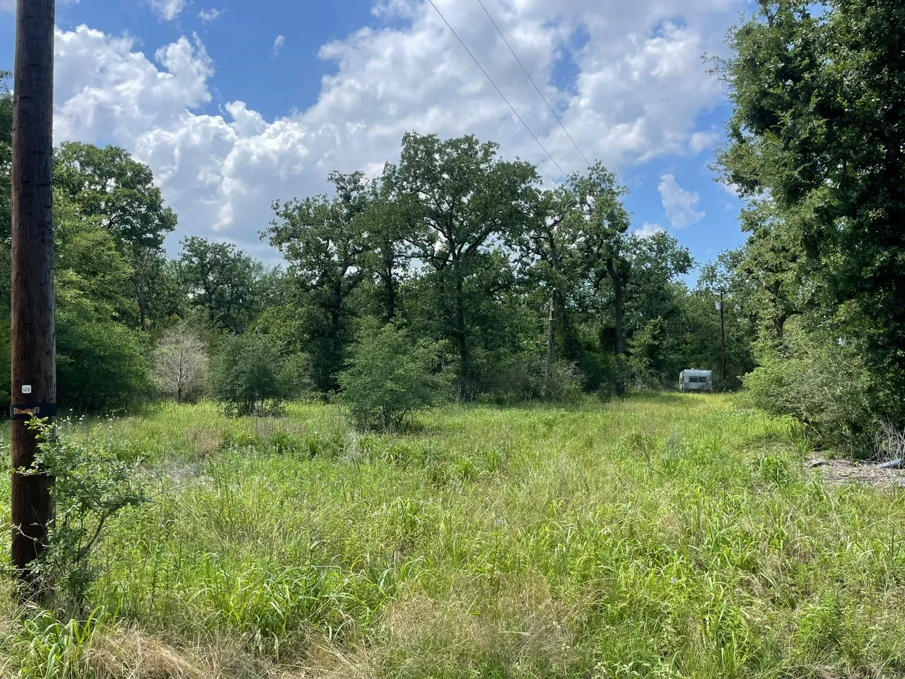 View of nature