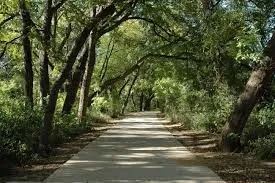 Unimproved Land For Sale in Tarrant County , 520 W Broad Street, Mansfield, Texas 76063, 0, 0, Garage spaces, 0 Sqft, built in 0, Price $350,000, mls#20970173, Real Estate Agent in Mansfield, Homes For Sale in Tarrant county, Homes For Sale in Mansfield, Realtor in Mansfield Texas, Real Estate Brokerage Independent Realty Texas, Luminita Cordes Realtor